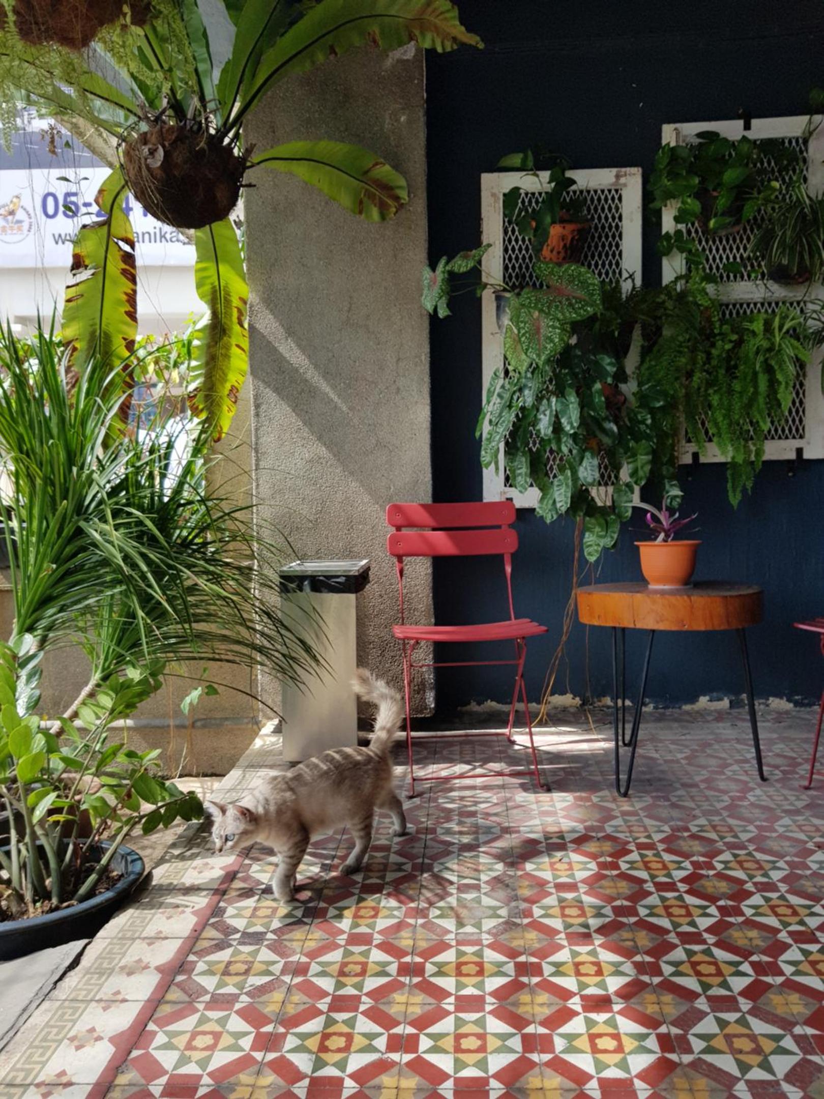 The Brownstone Hostel & Space photo 3