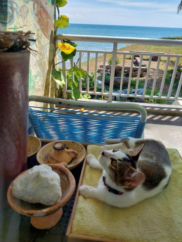 Port Dickson PD Beach Front Homestay photo 8