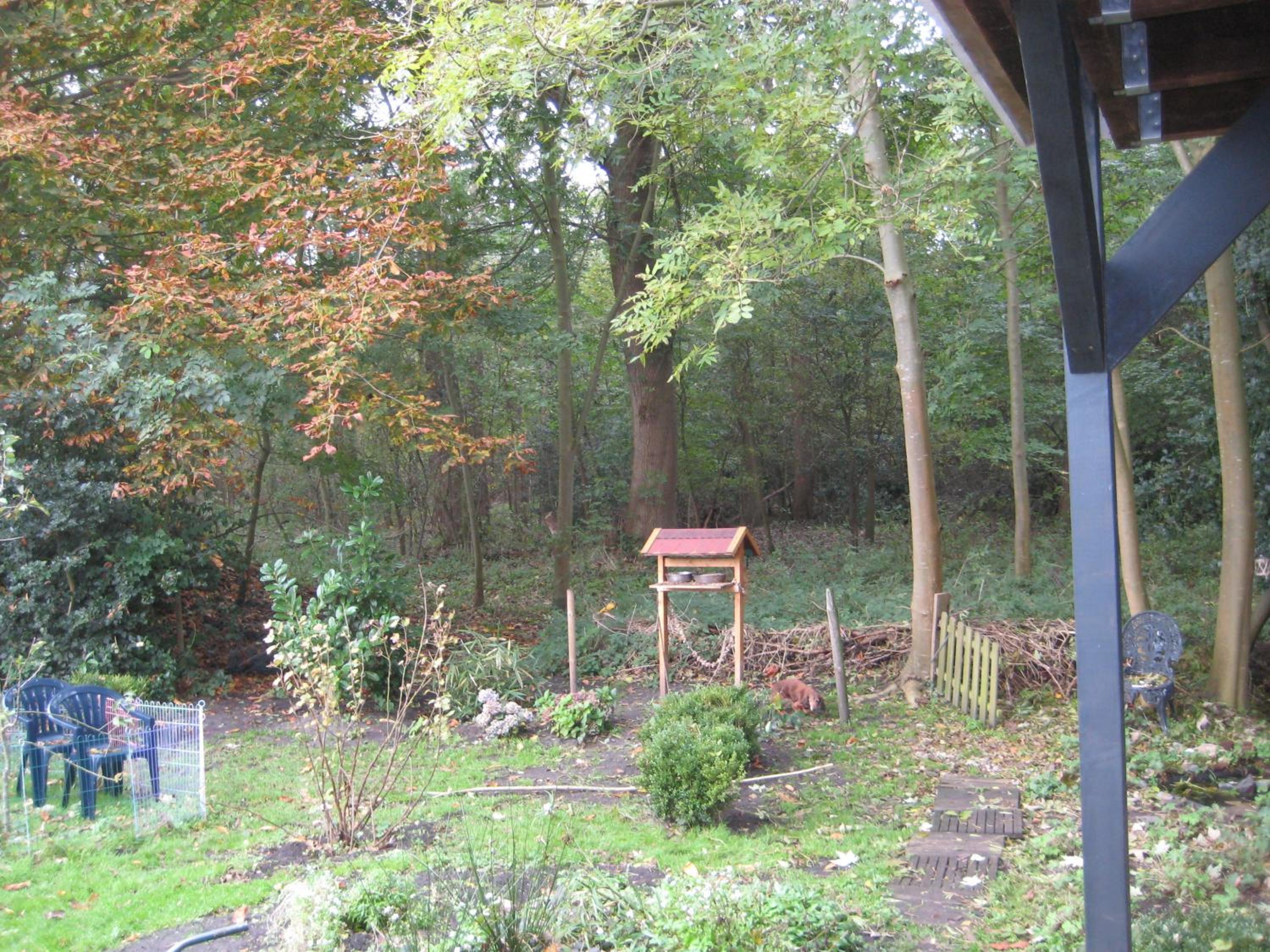 Photo 17