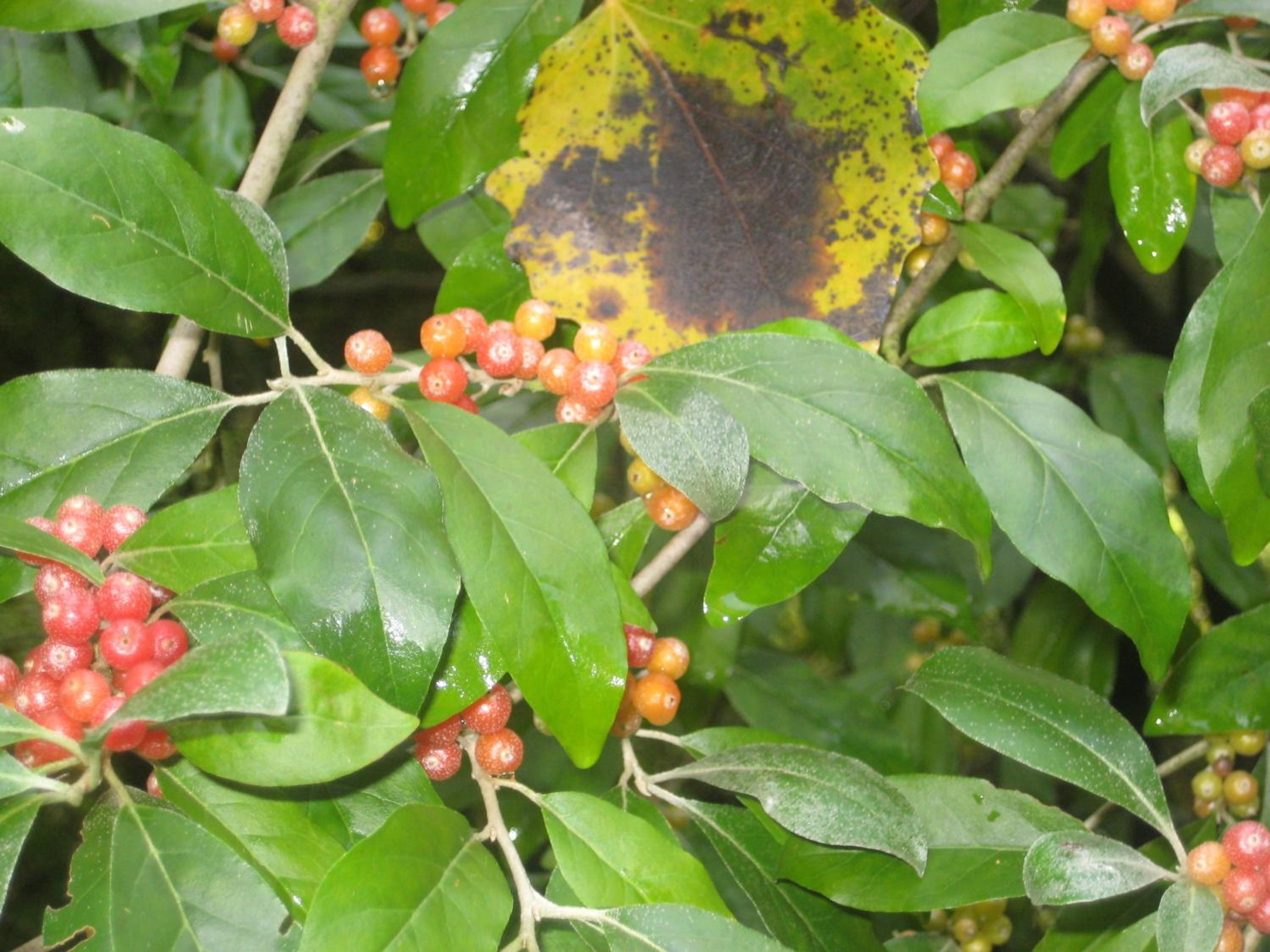 Photo 23