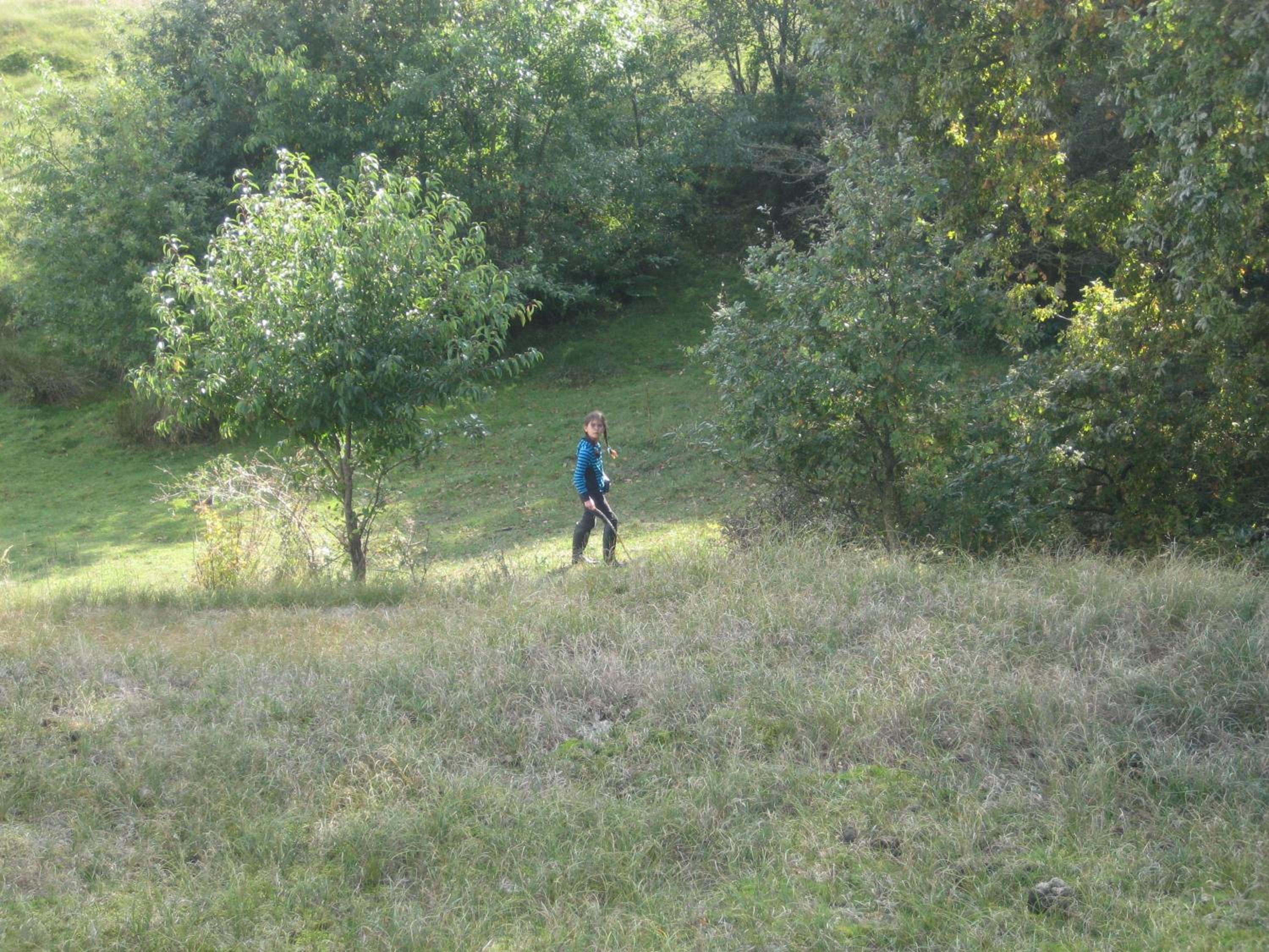 Photo 26