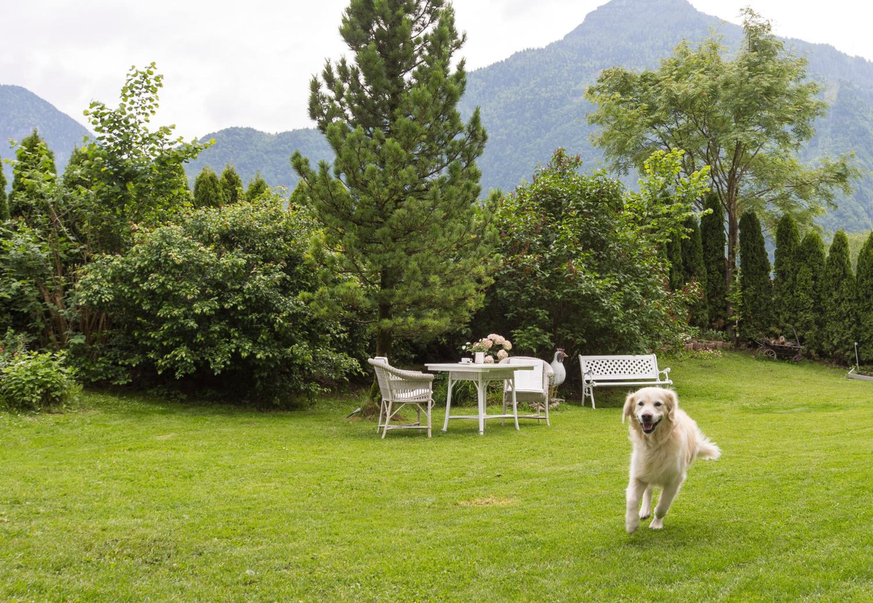 Forest Chalet, all famous ski areas around us, 15 min to city of salzburg, mountainview, panorama sauna, bath whirlpool, fire pit in garden up to 10 p