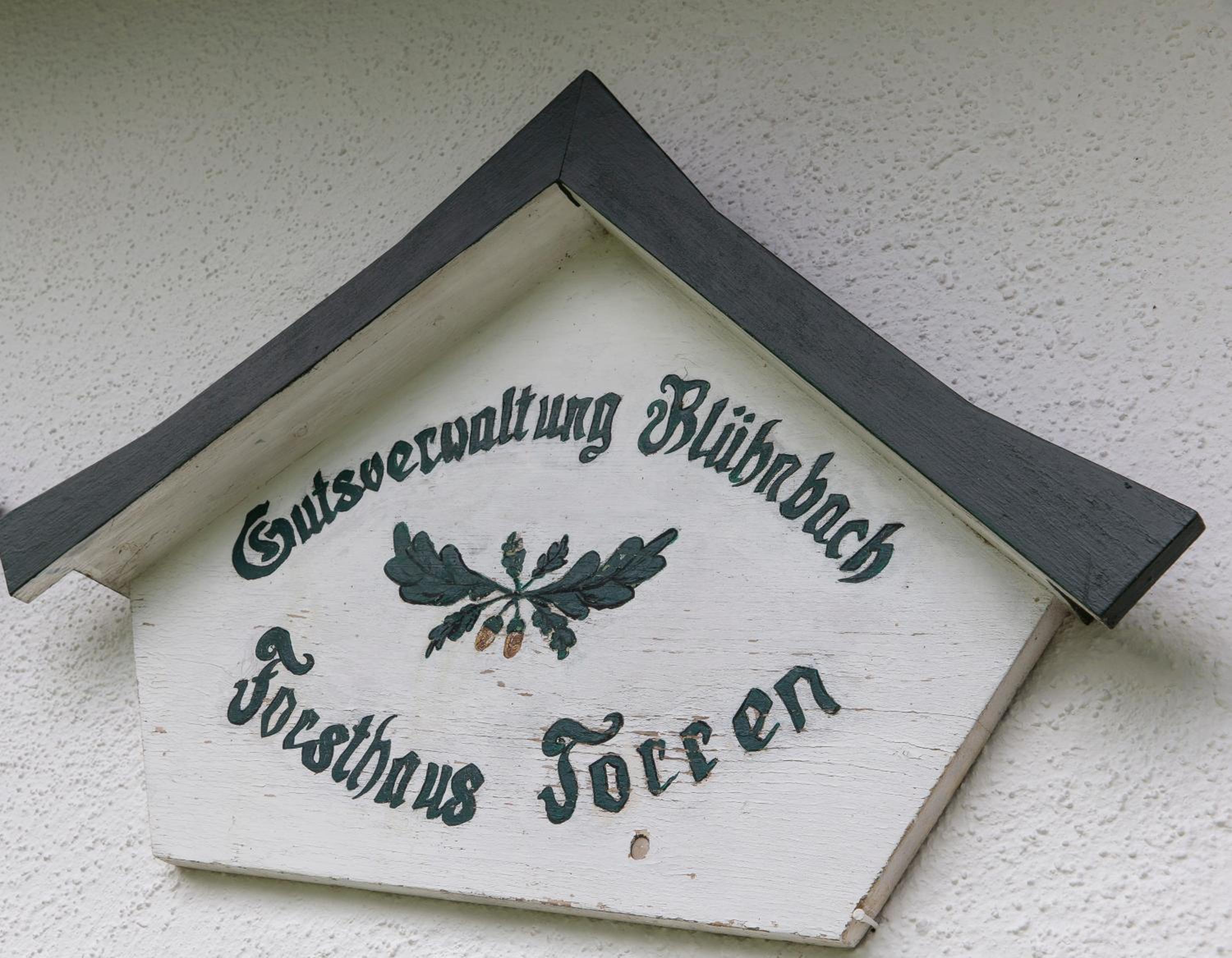 Forest Chalet, all famous ski areas around us, 15 min to city of salzburg, mountainview, panorama sauna, bath whirlpool, fire pit in garden up to 10 p