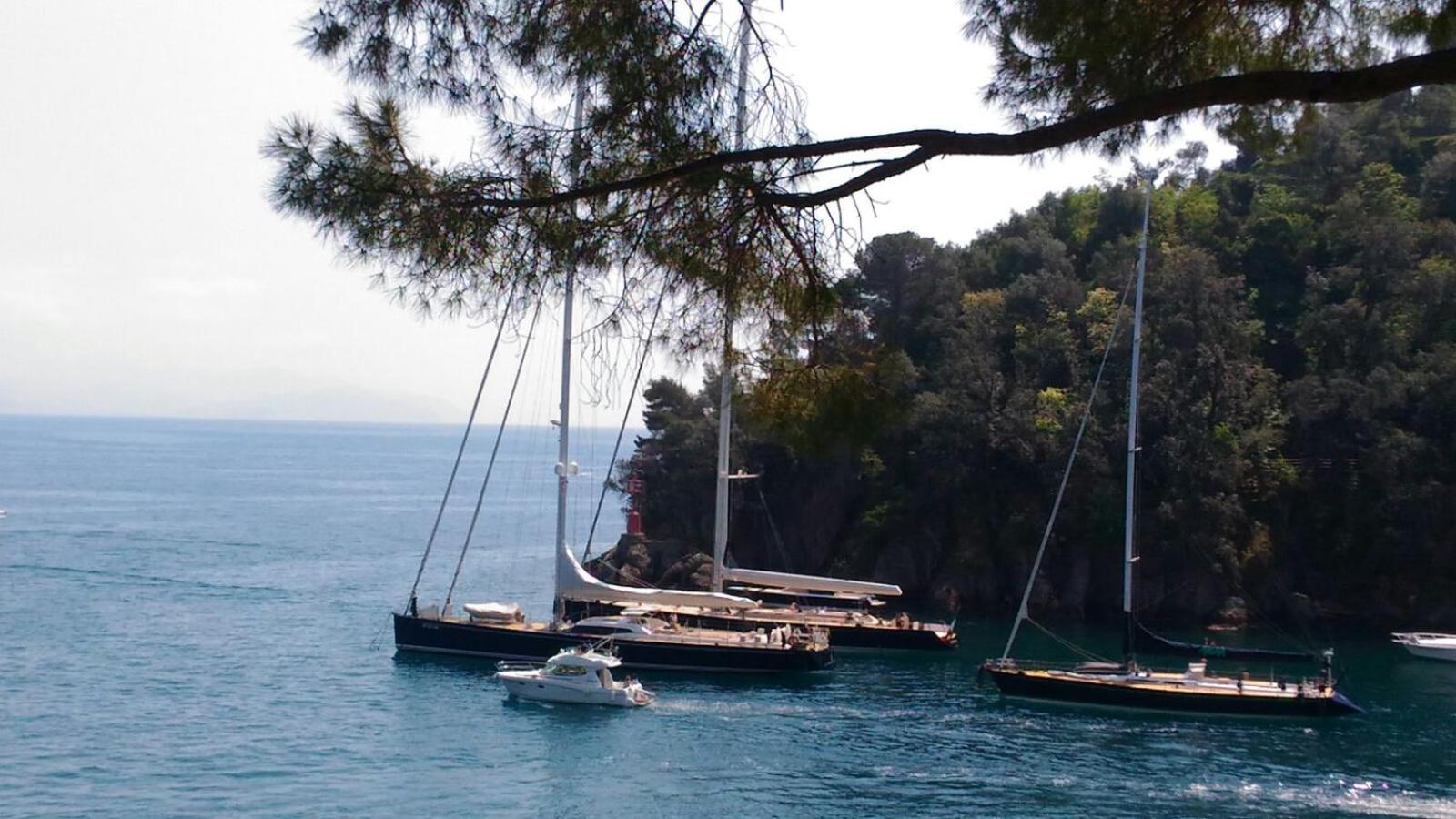 Liguria Home 4 - Recco centro a 2 minuti dal mare view 5
