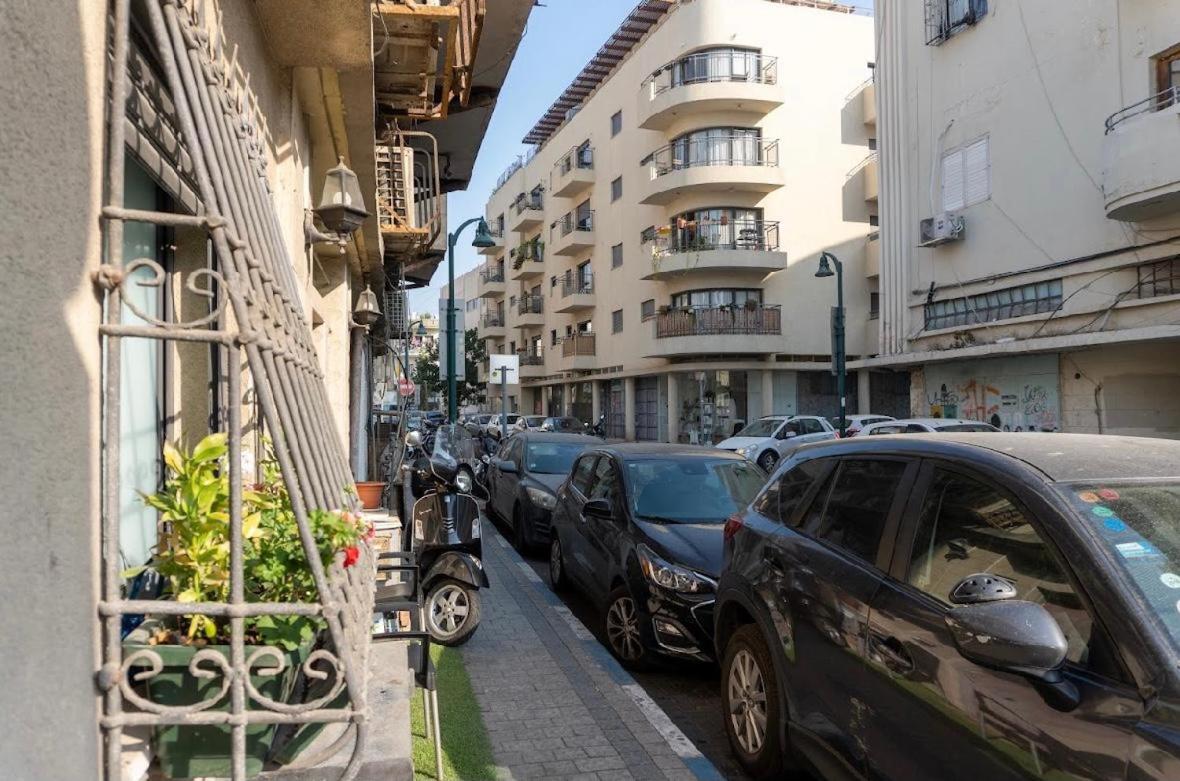 Ofek's place - NOGA view 3