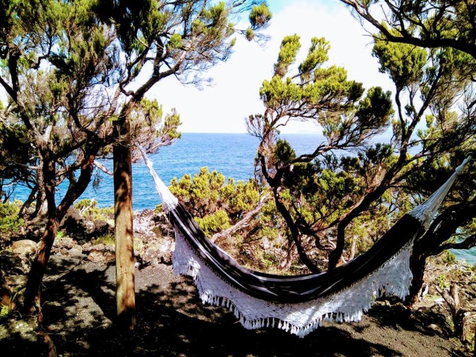 Casa do Caramba - The Dream House view 5
