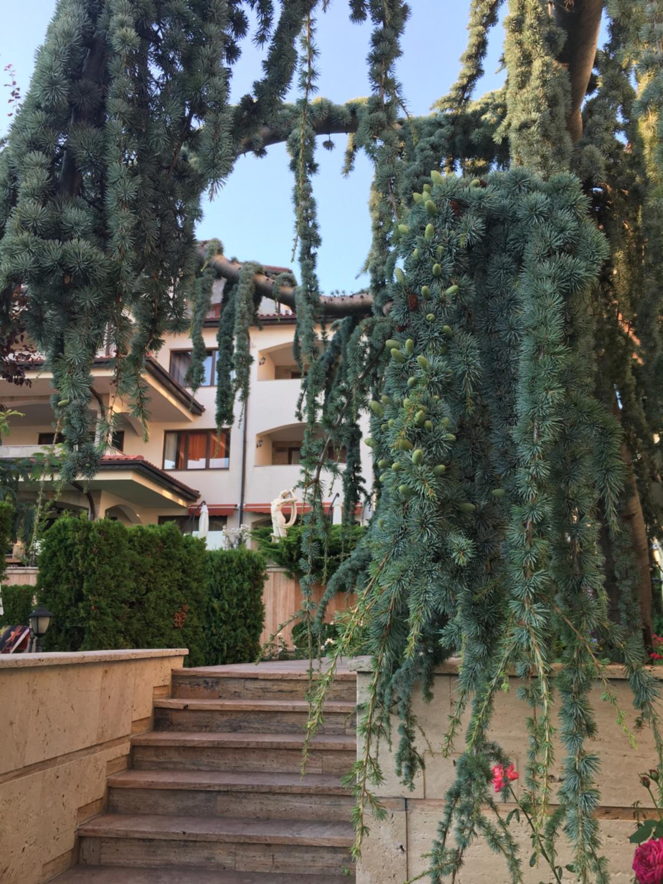 Casa Real