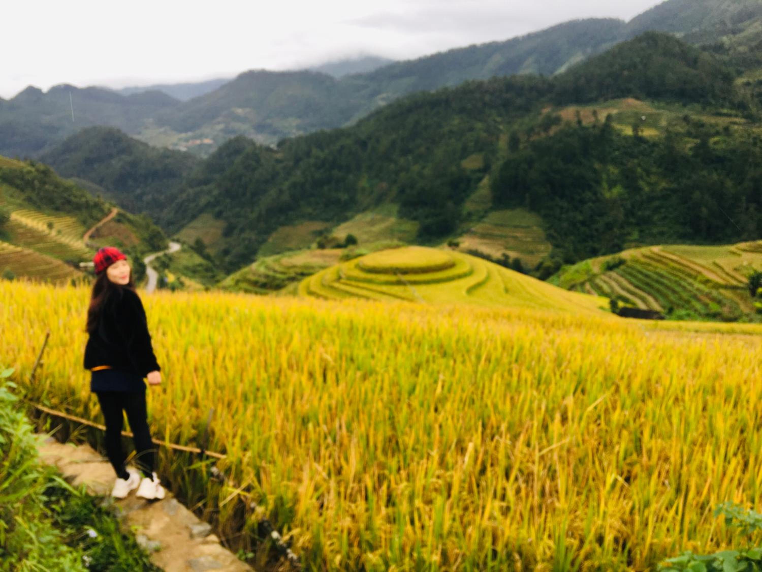 Hello Mu Cang Chai Homestay & Tours