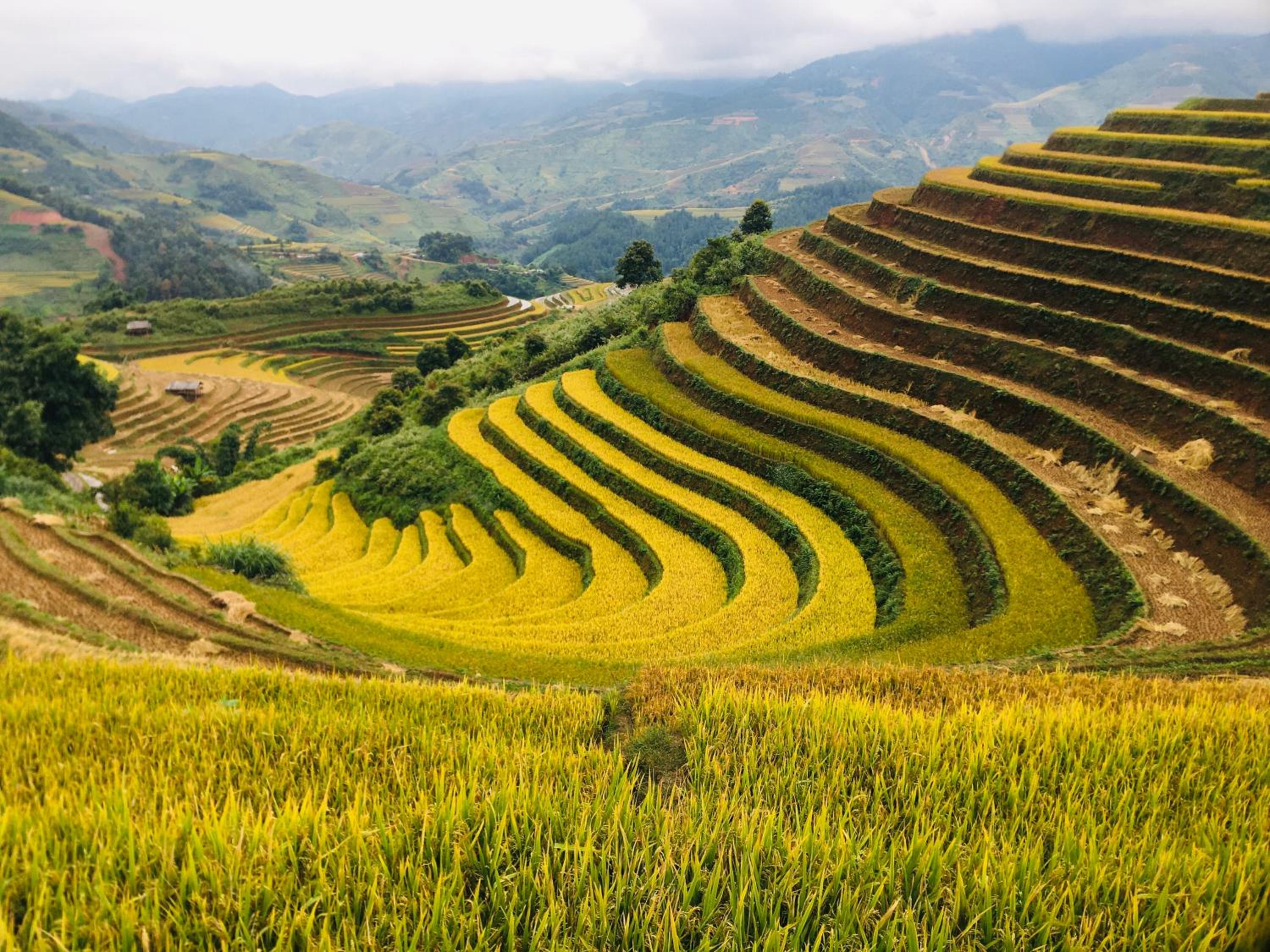 Hello Mu Cang Chai Homestay & Tours