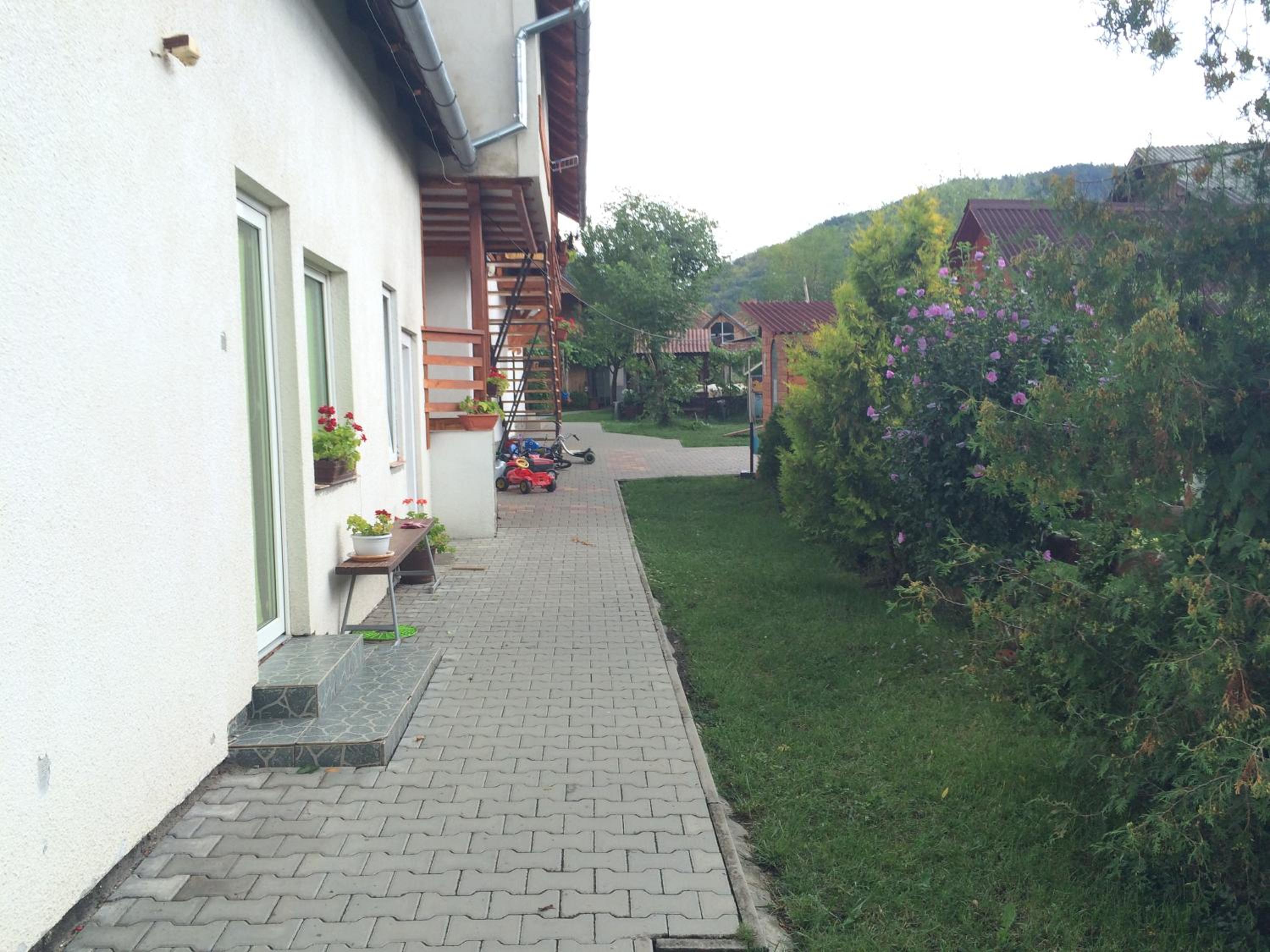 Photo 53