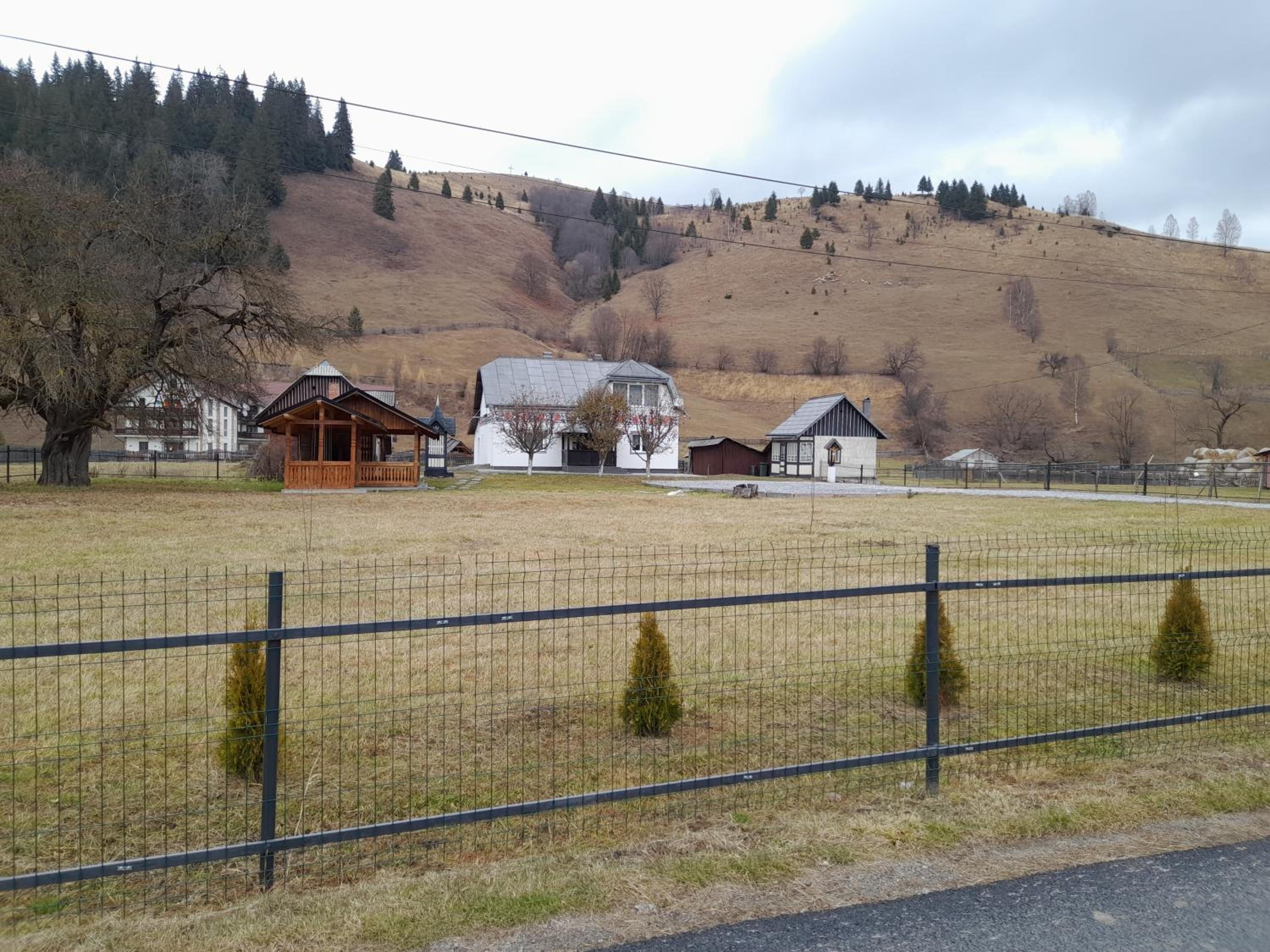 Photo 52