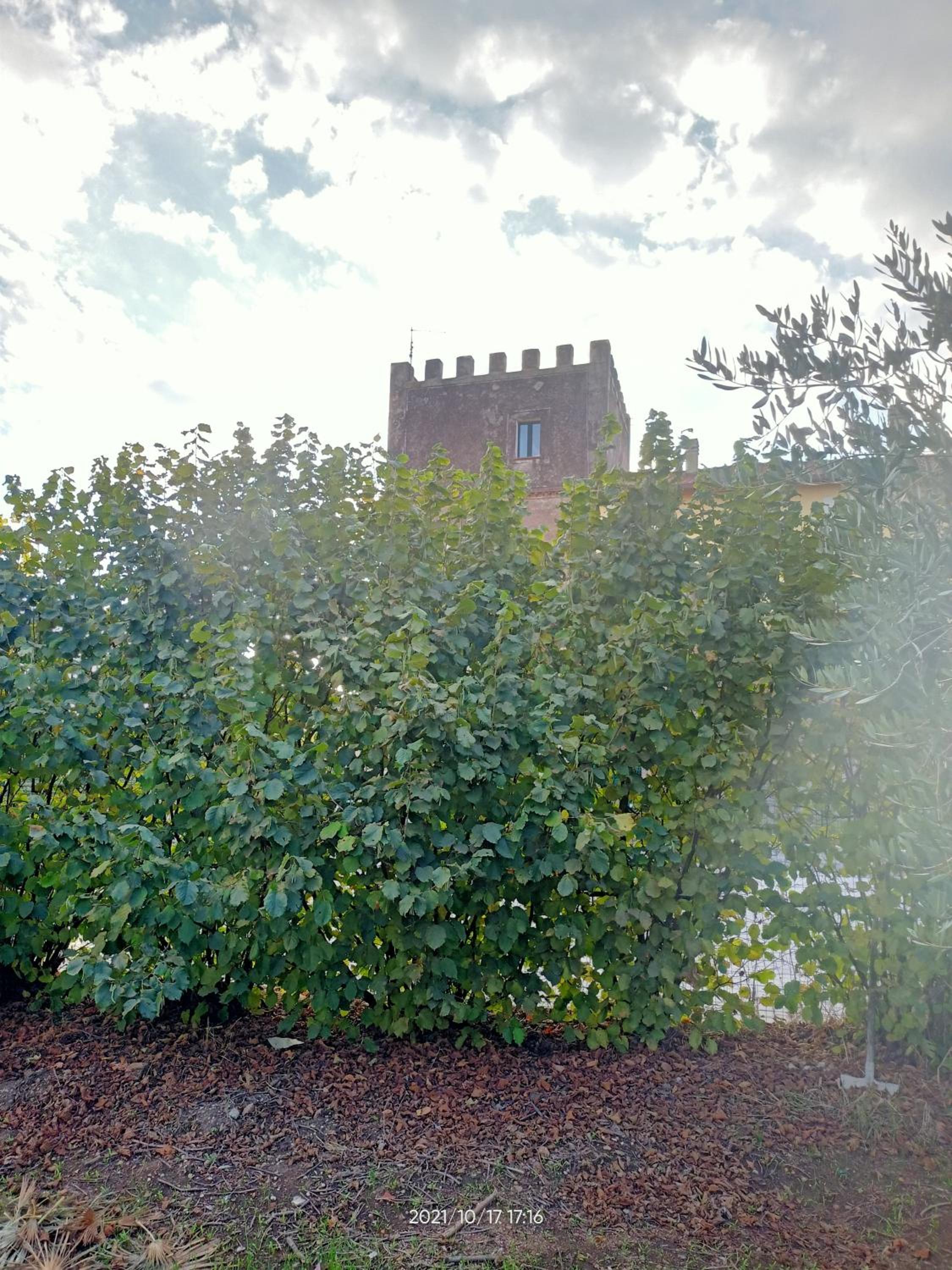 La Torre di Barbara, photo 75