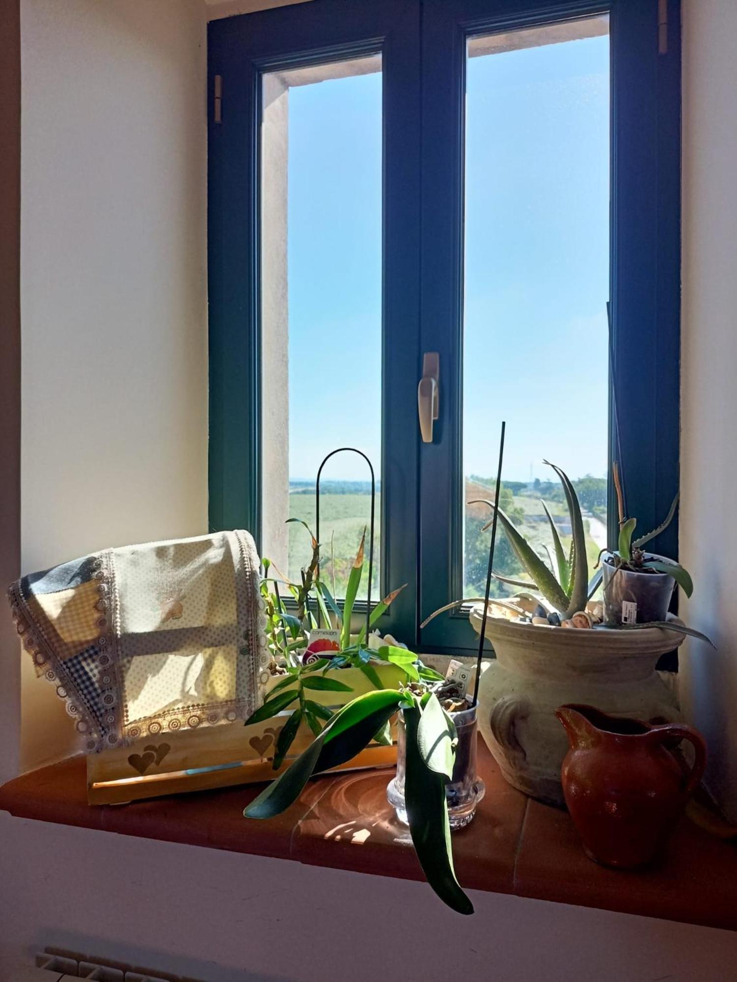 La Torre di Barbara, photo 79