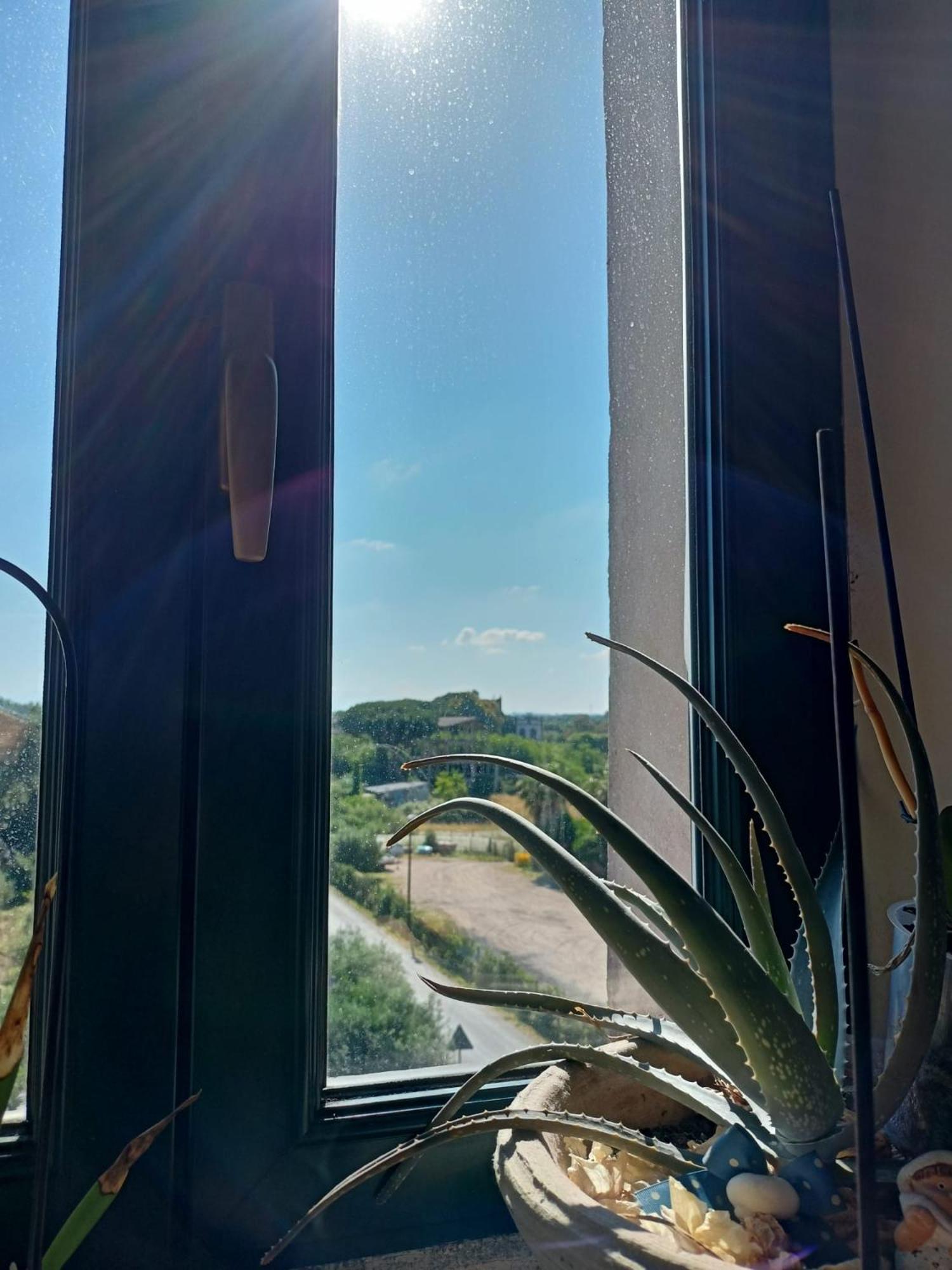 La Torre di Barbara, photo 82