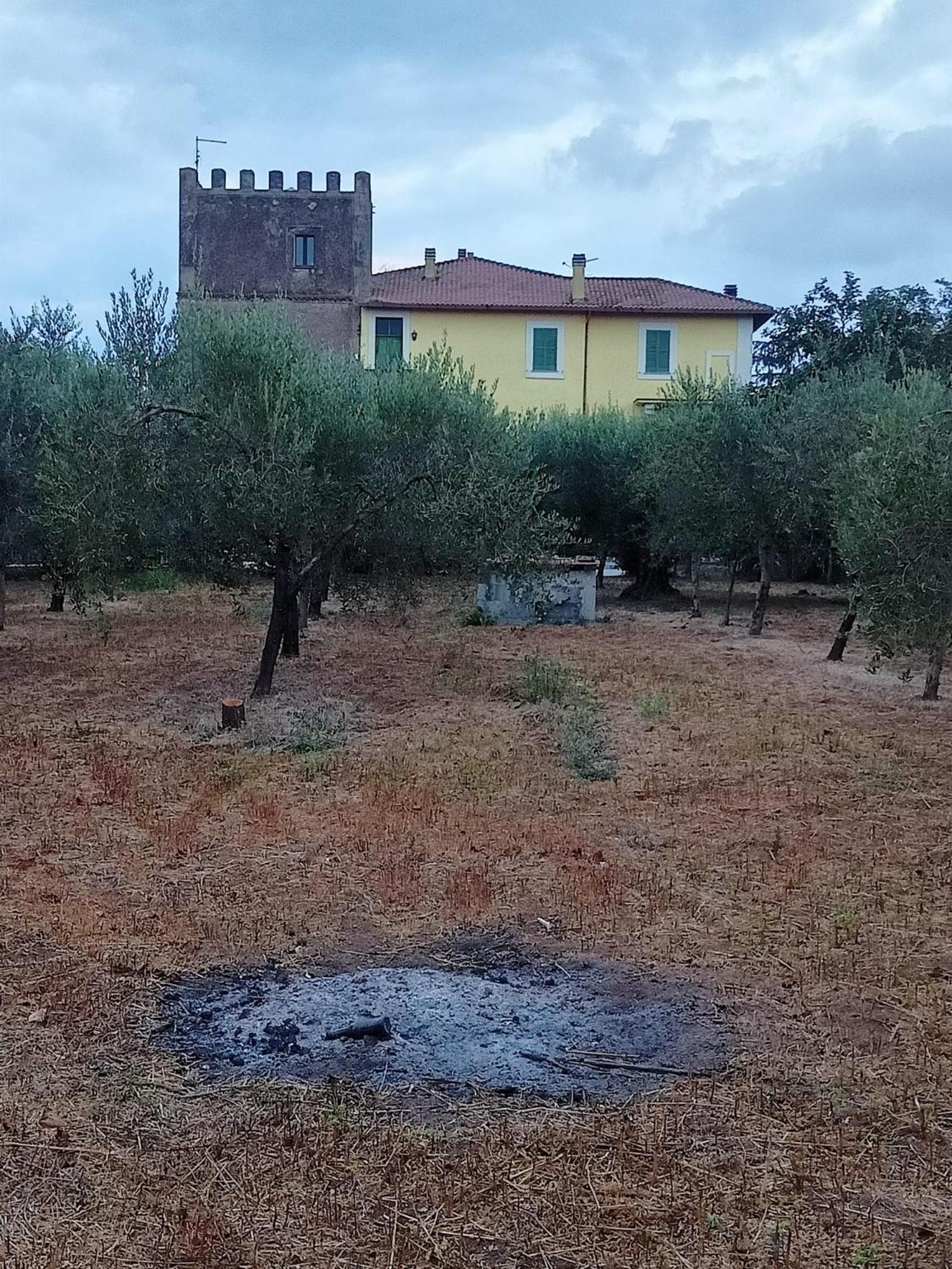 La Torre di Barbara, photo 83