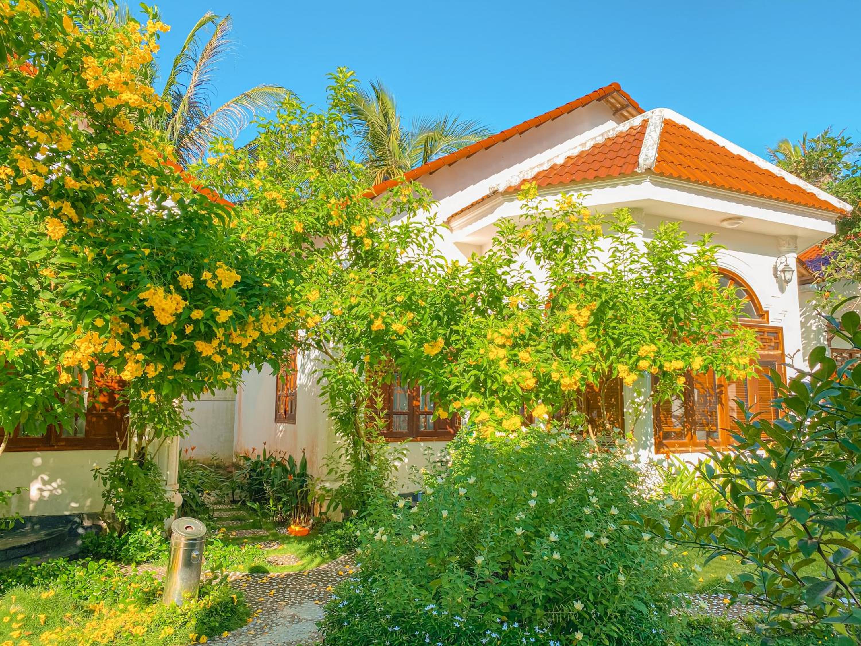Wings Bungalow