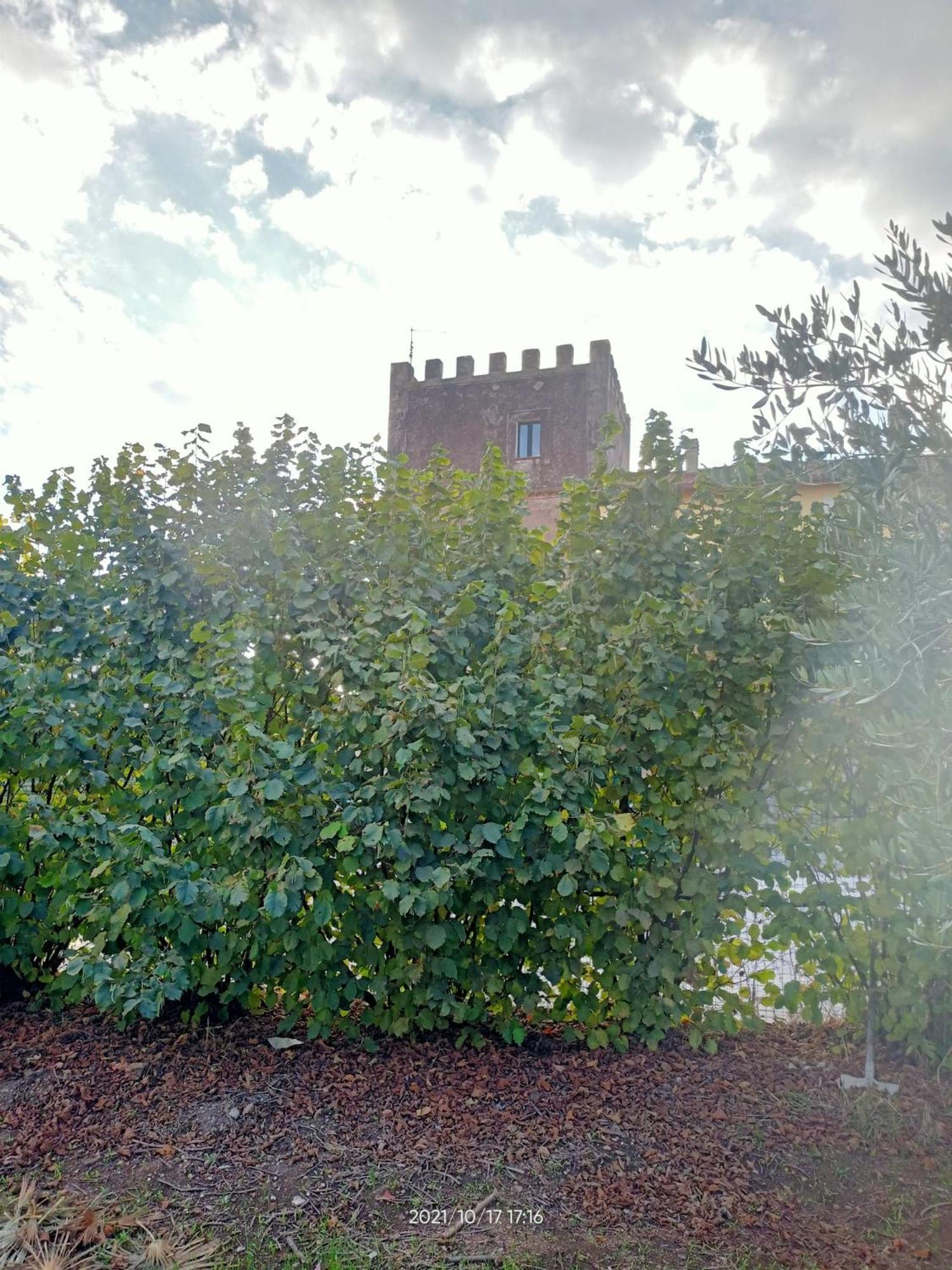 La Torre di Barbara, photo 48