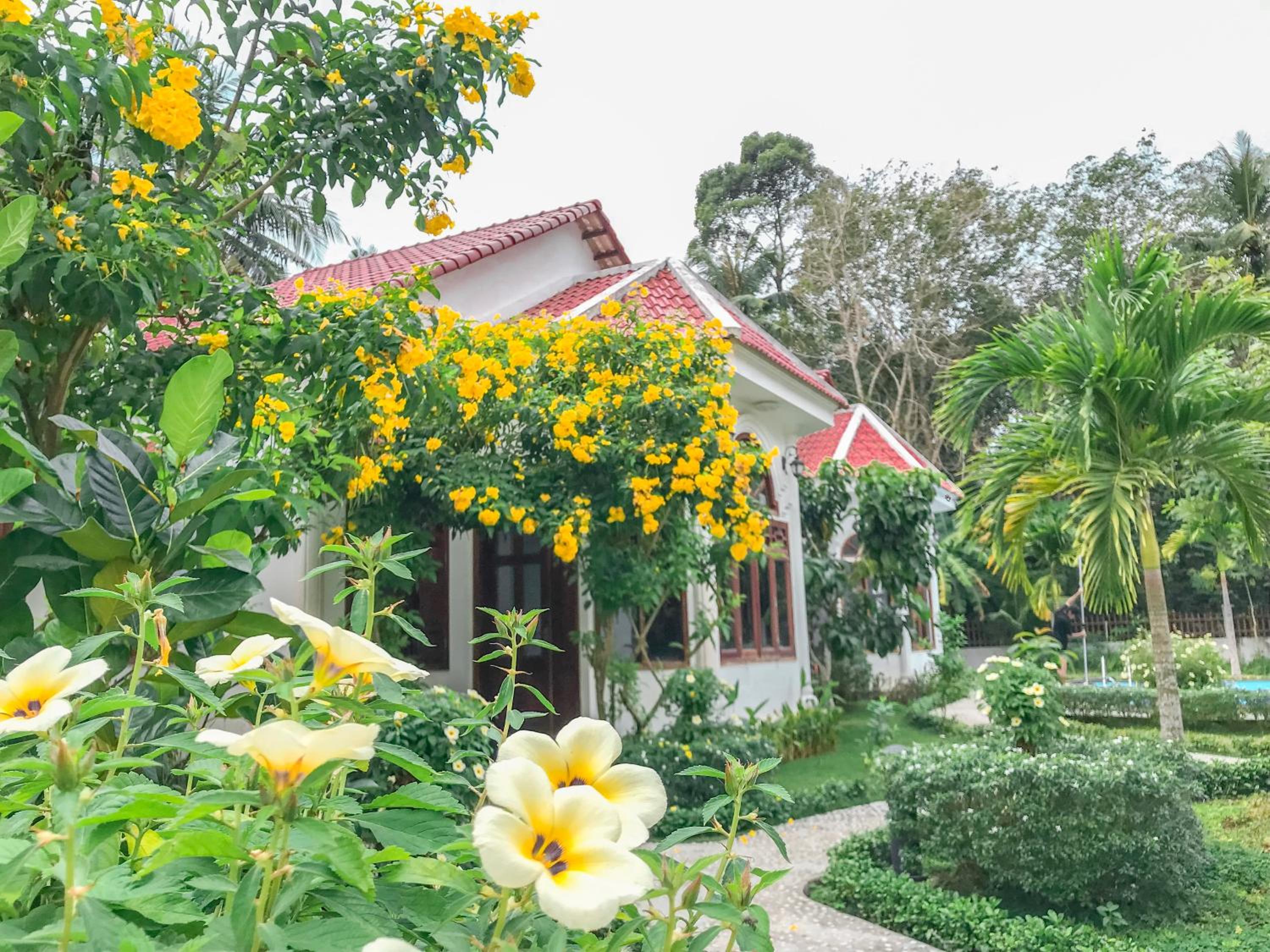 Wings Bungalow