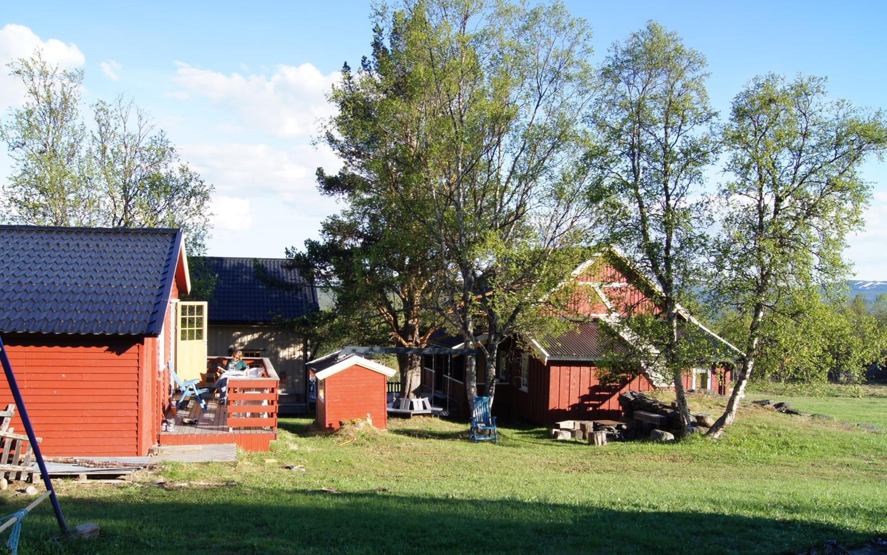 Photo 41