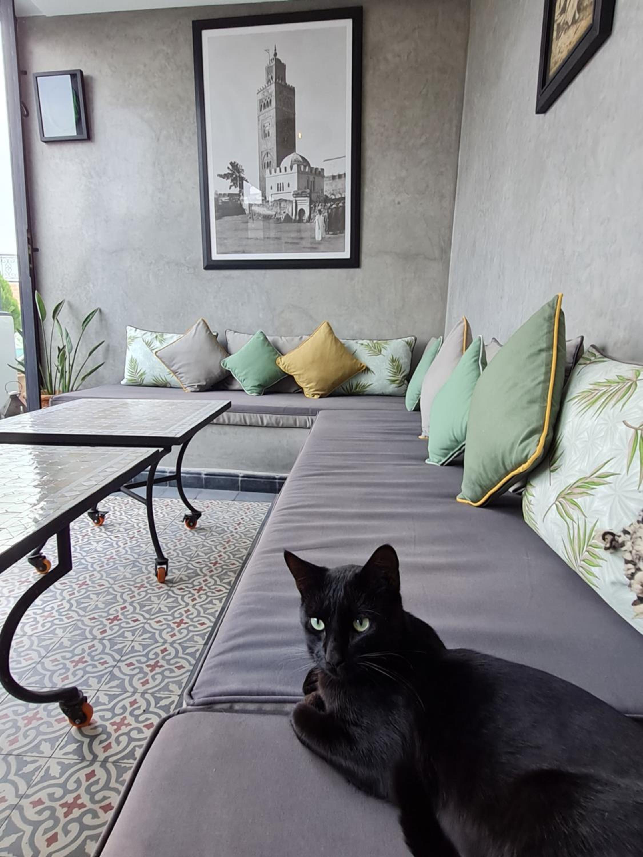 lounge