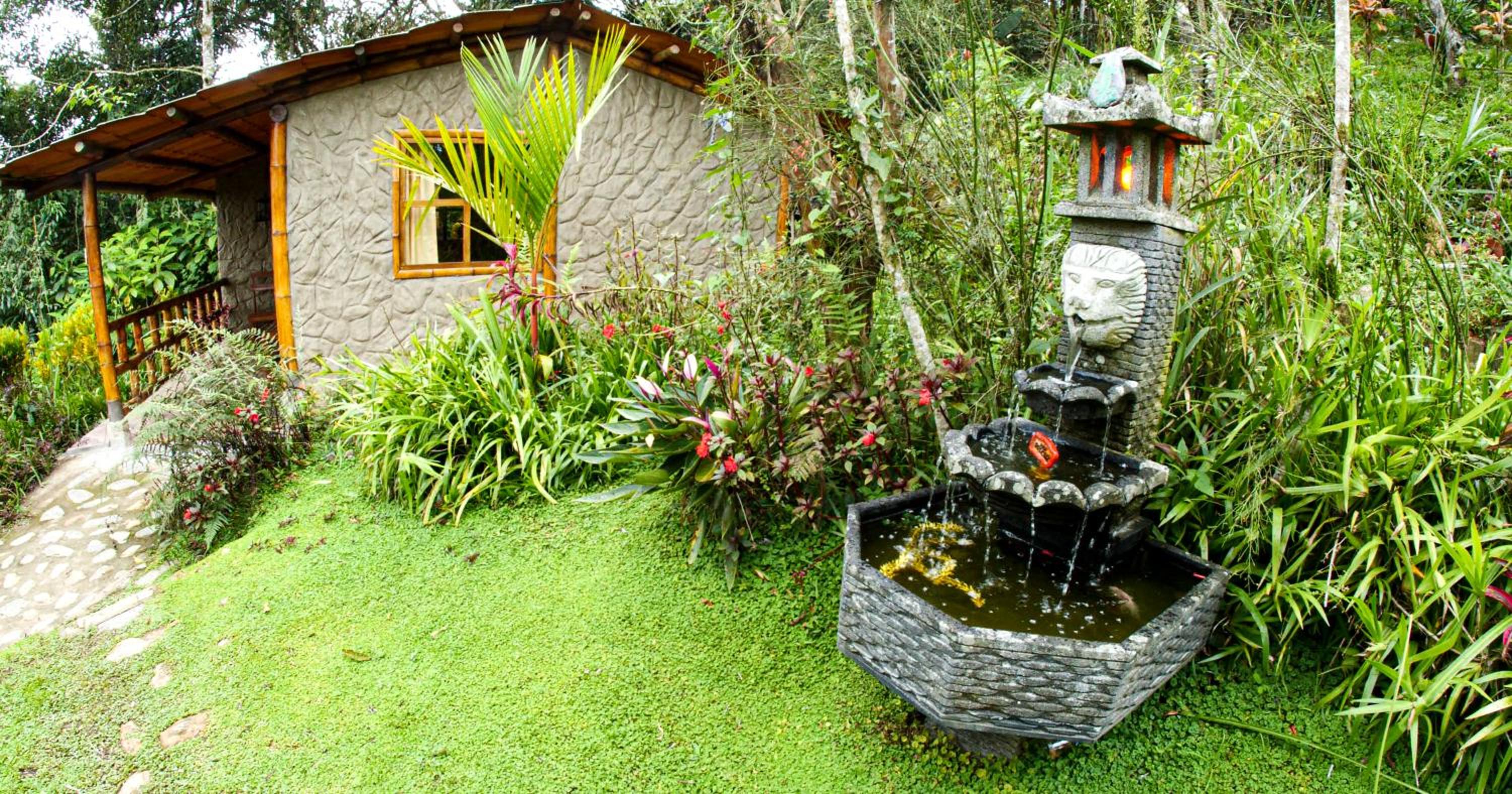Guayabo Verde view 3