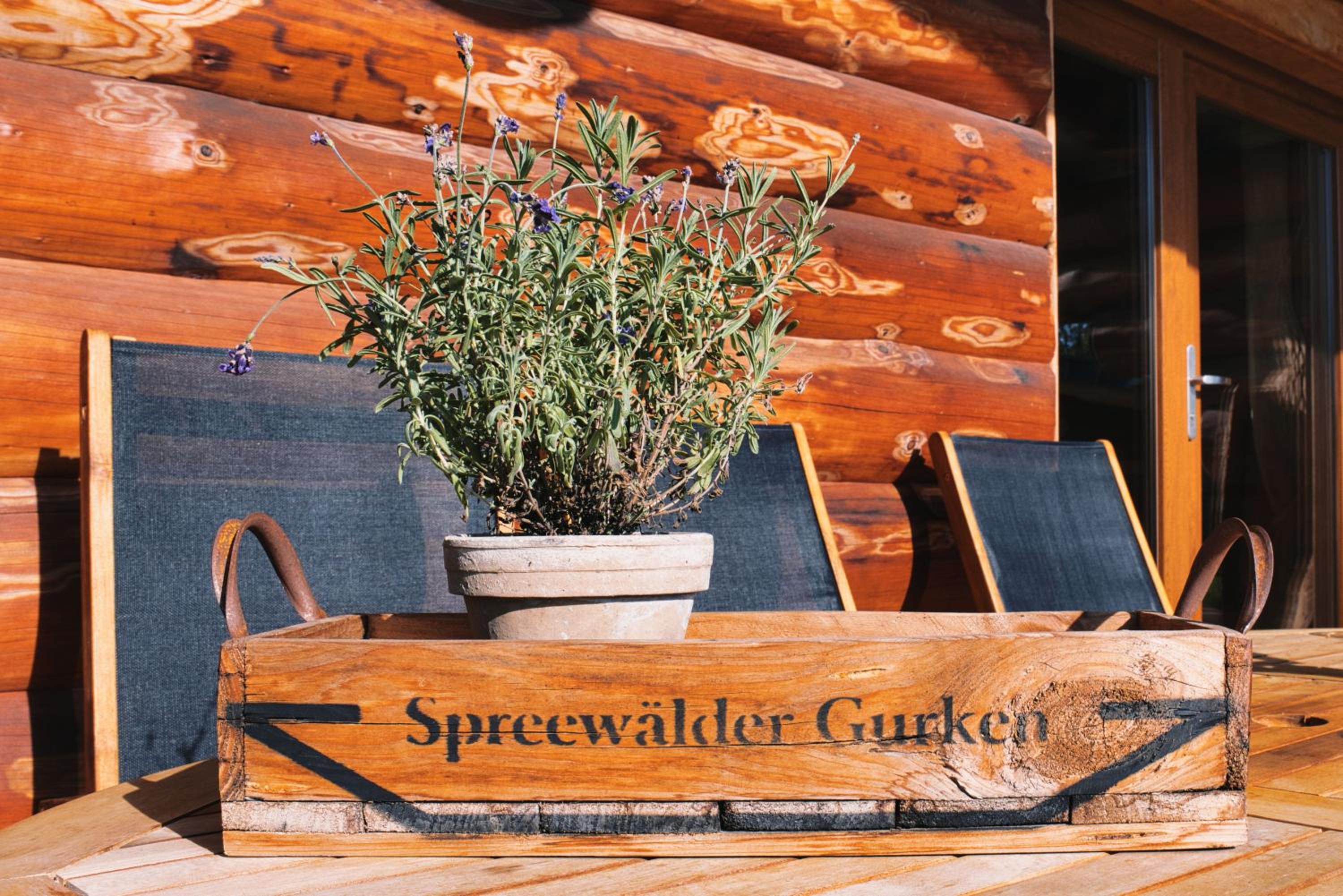 Ferienidyll zur Spreeaue