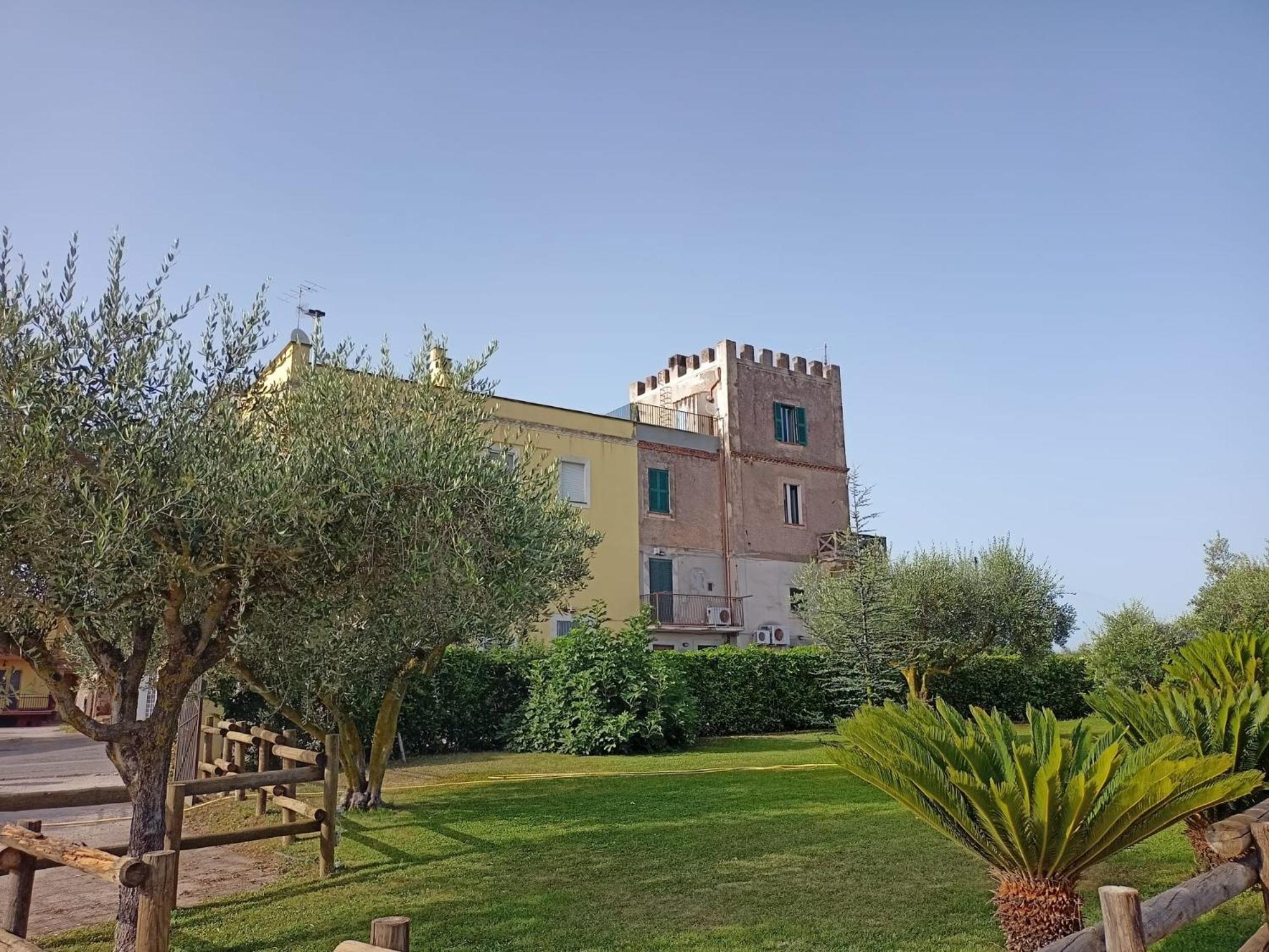 La Torre di Barbara, photo 14