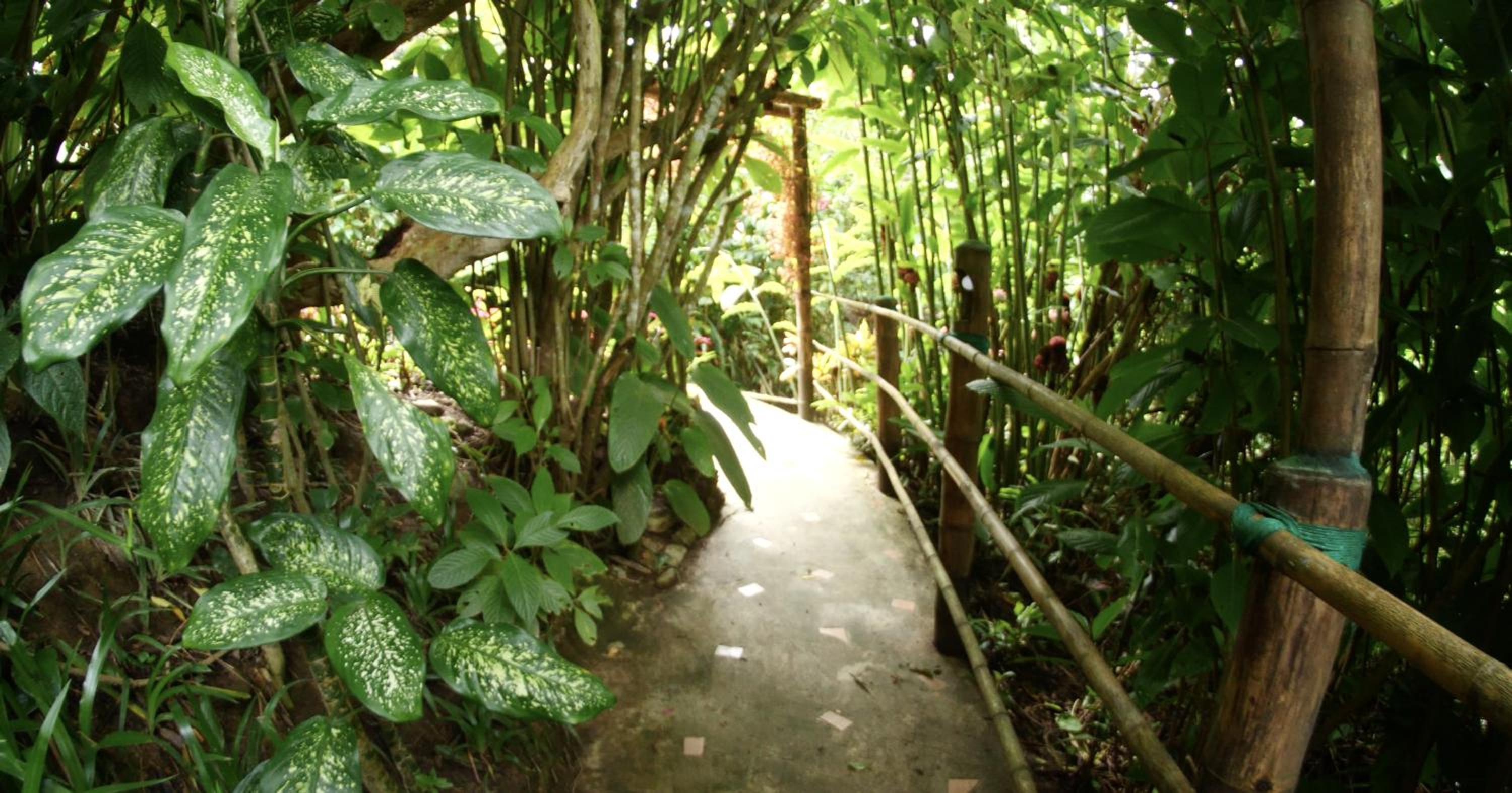 Photo 7
