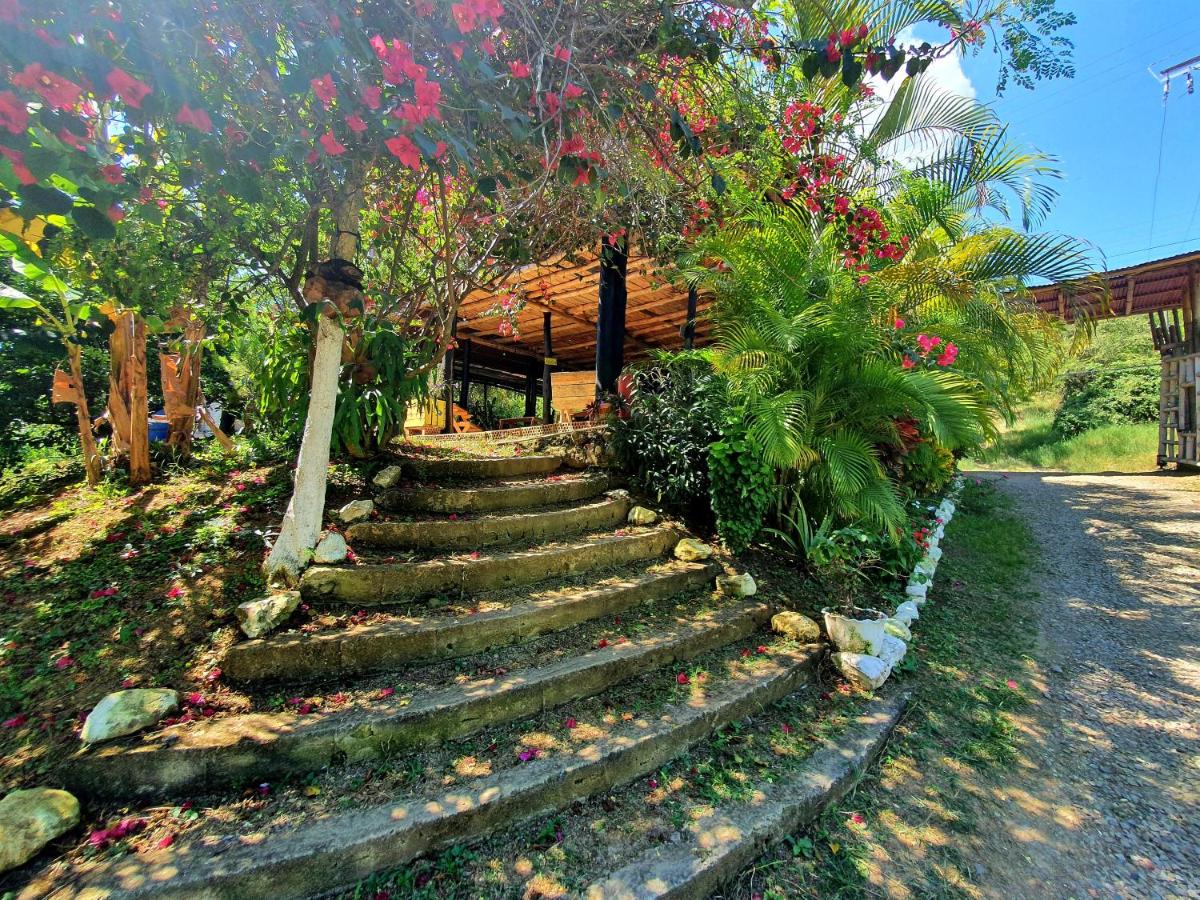 Hotel Travesía Ecológica
