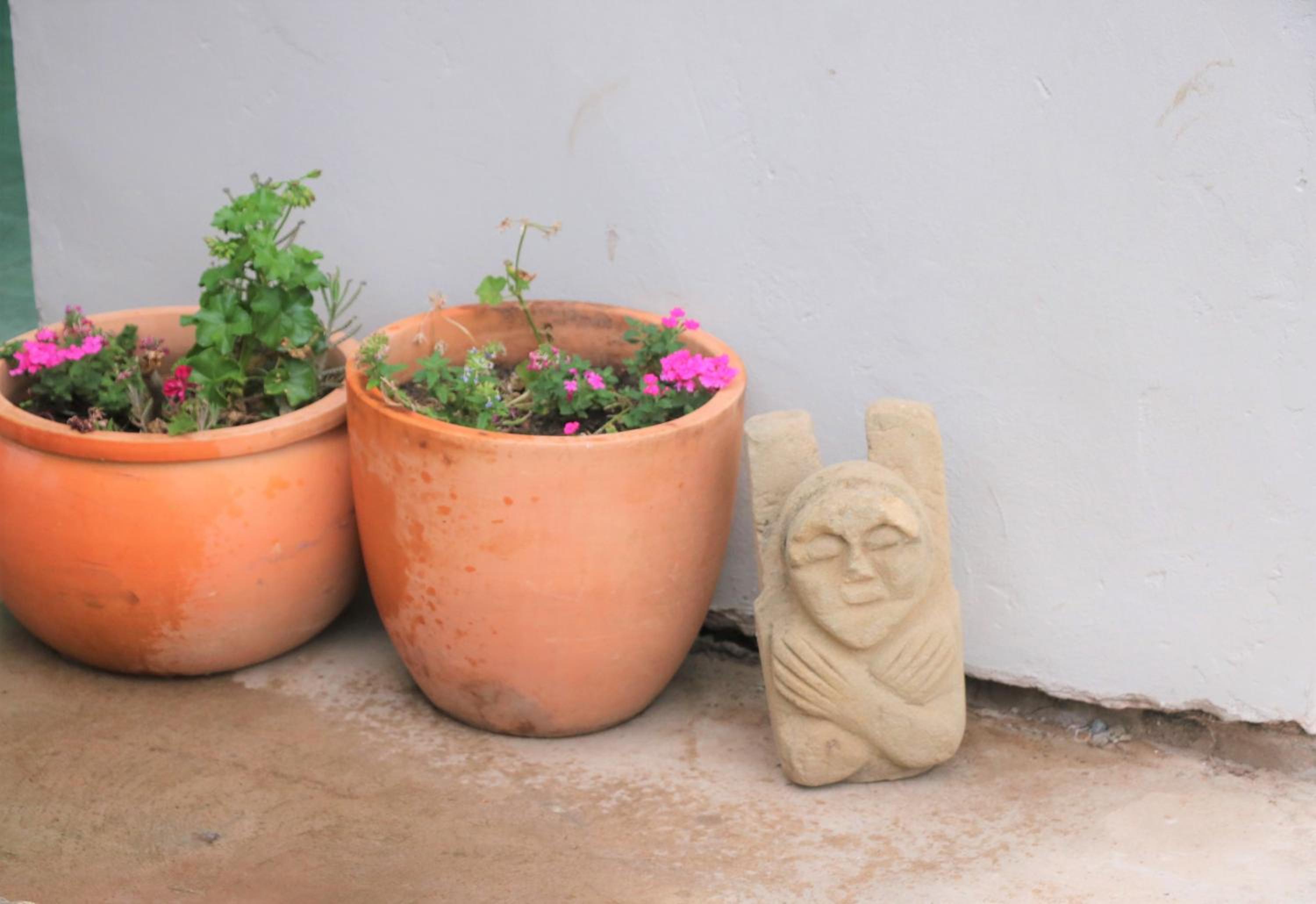 Photo 46