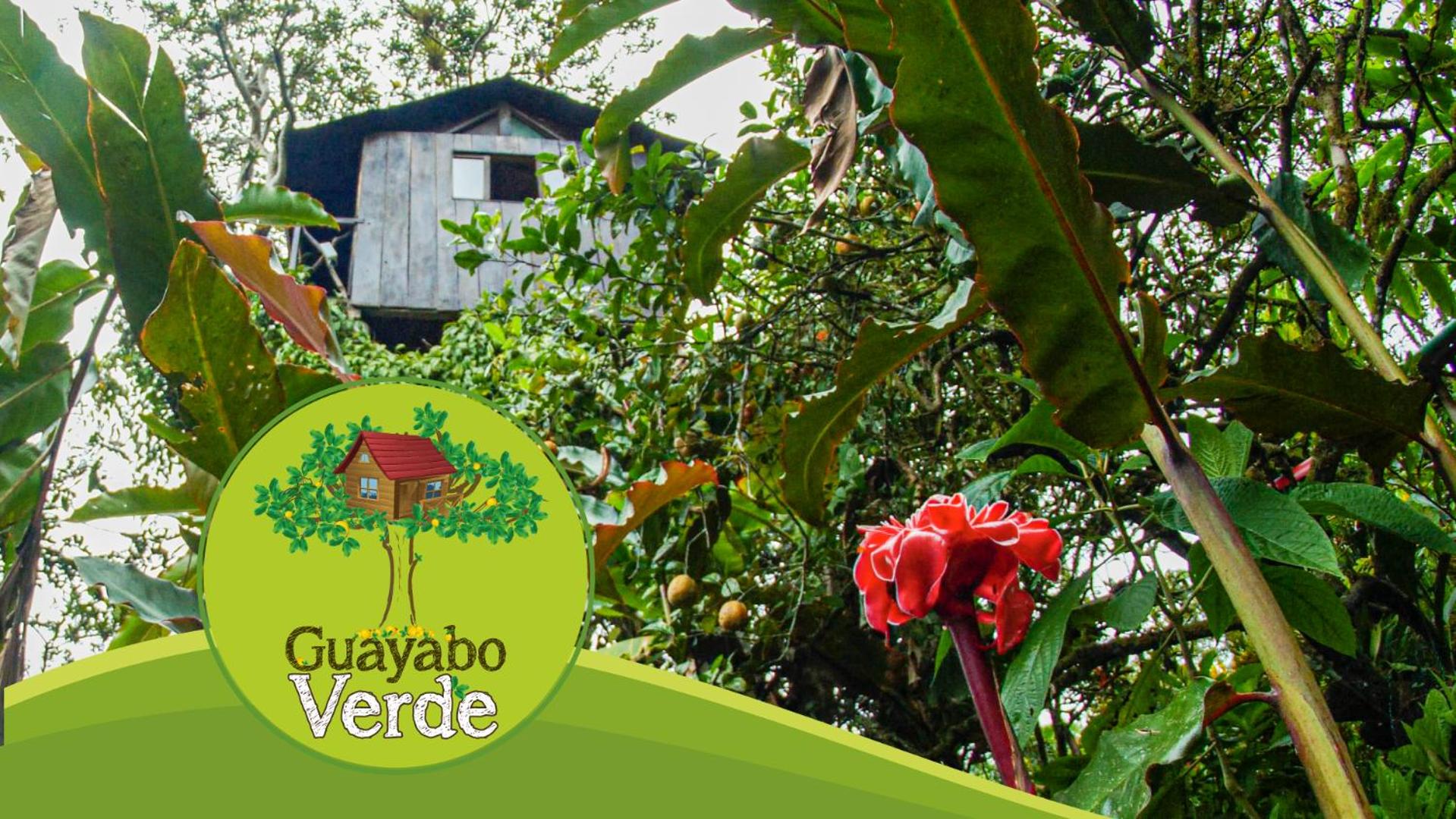 Hotel Guayabo Verde - Image 1