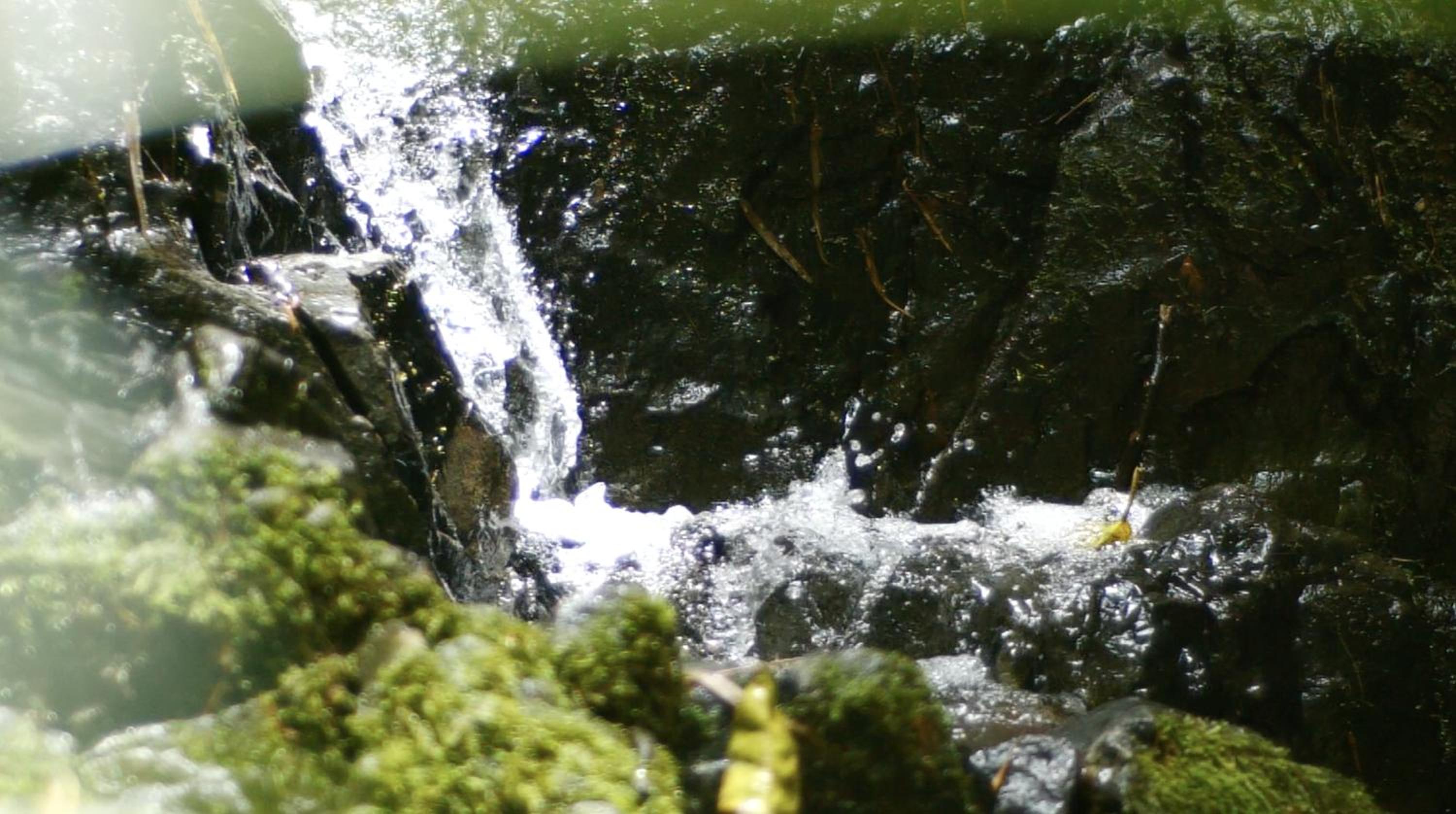 Photo 37