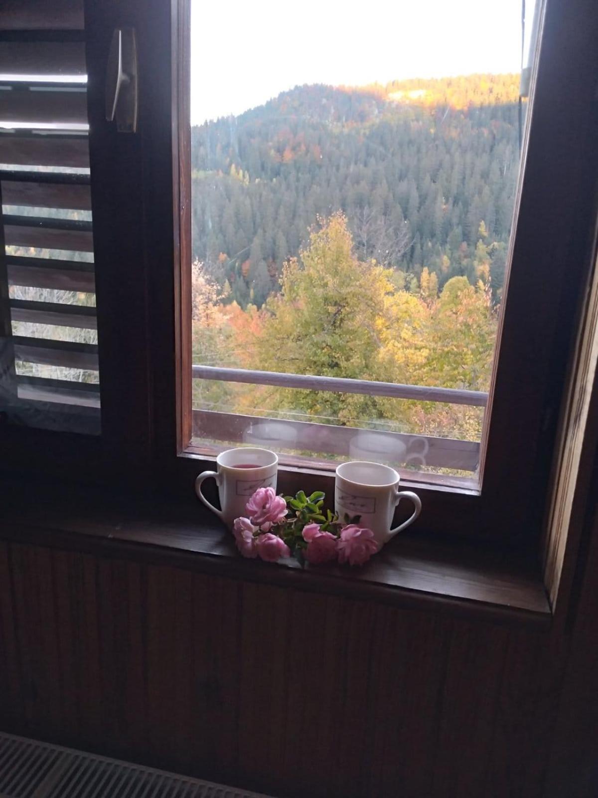 Planinska kuća ,,Furtula
