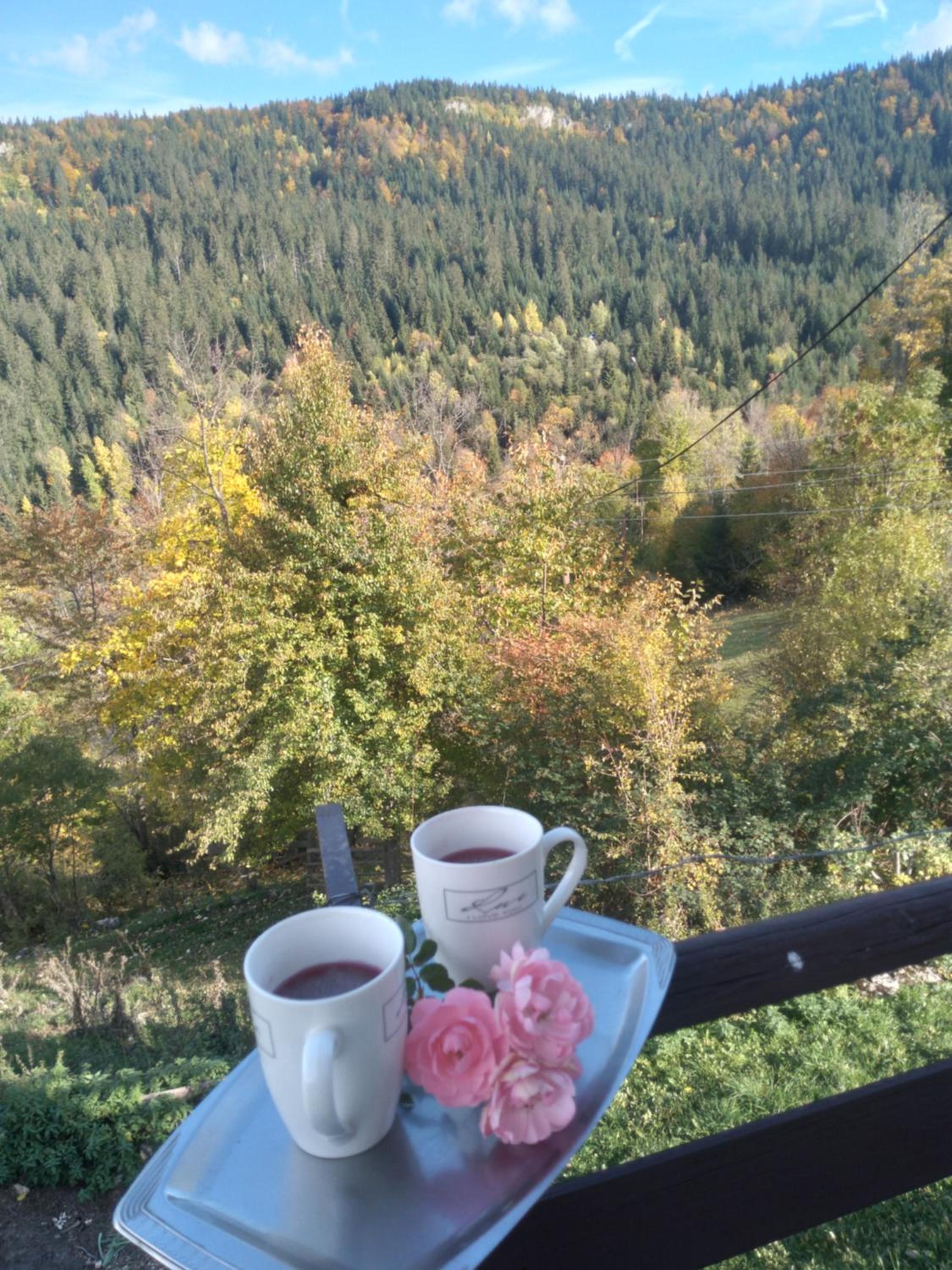 Planinska kuća ,,Furtula
