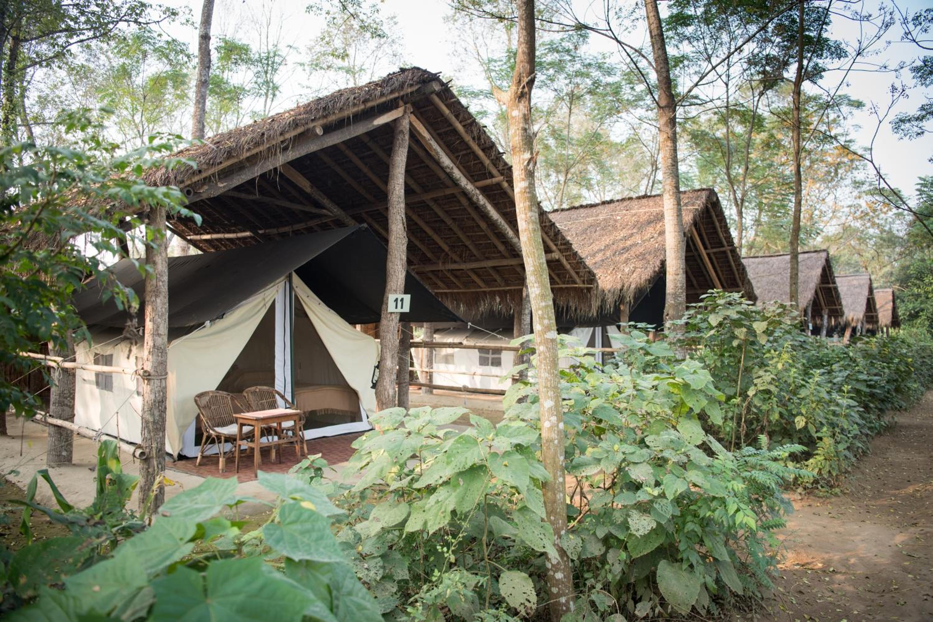 Tiger Tops Tharu Lodge