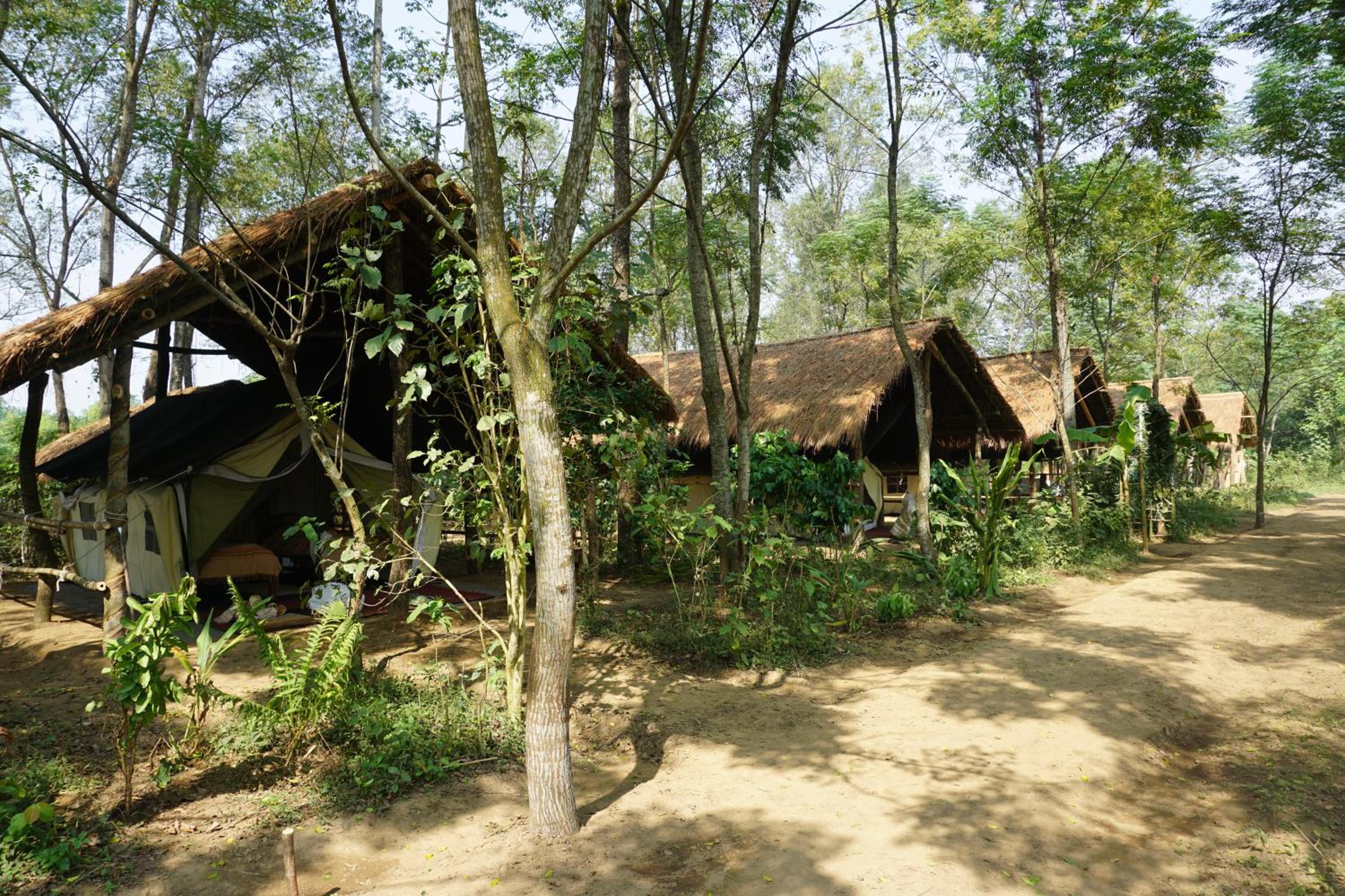 Tiger Tops Tharu Lodge