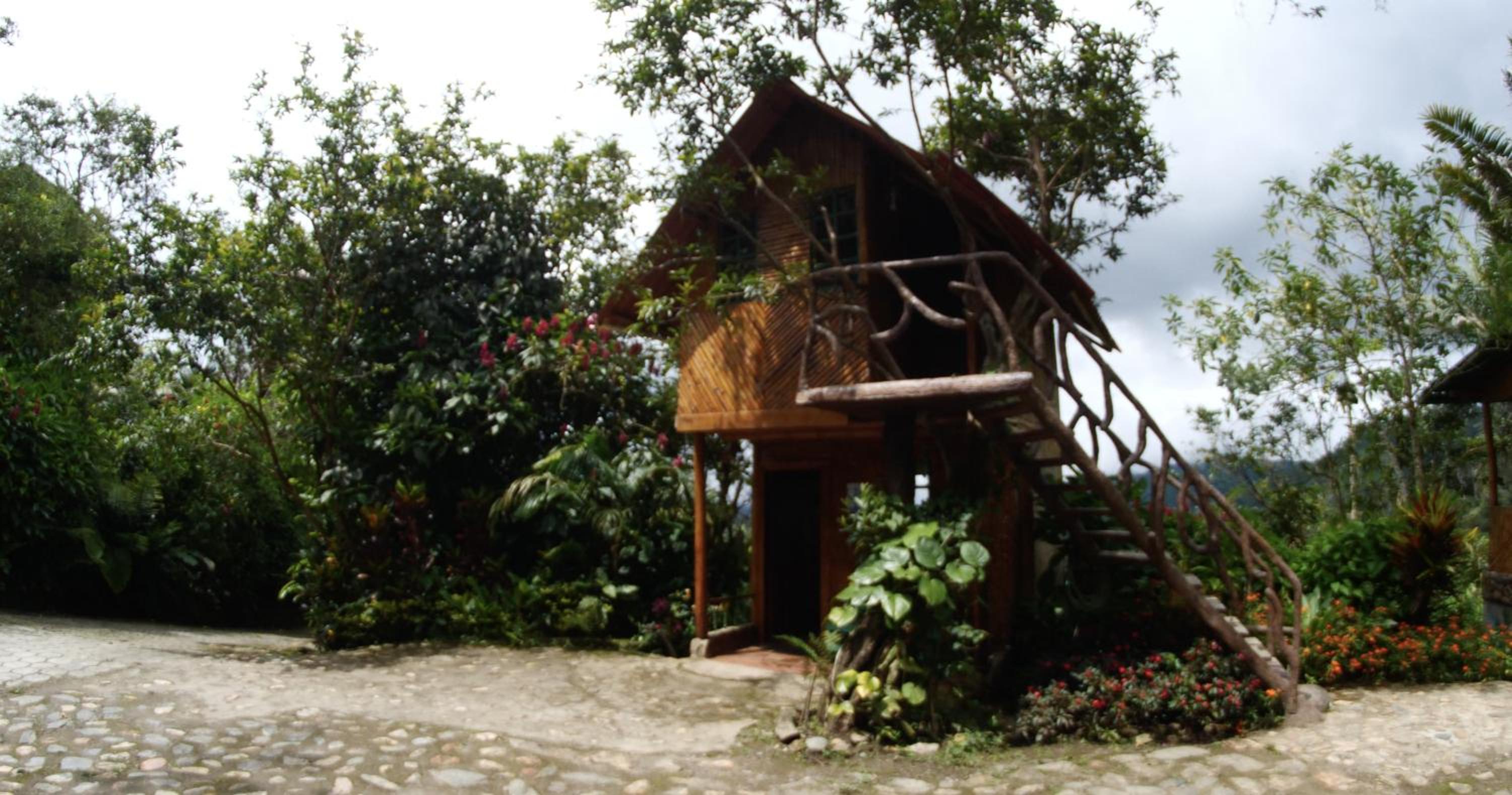Photo 25