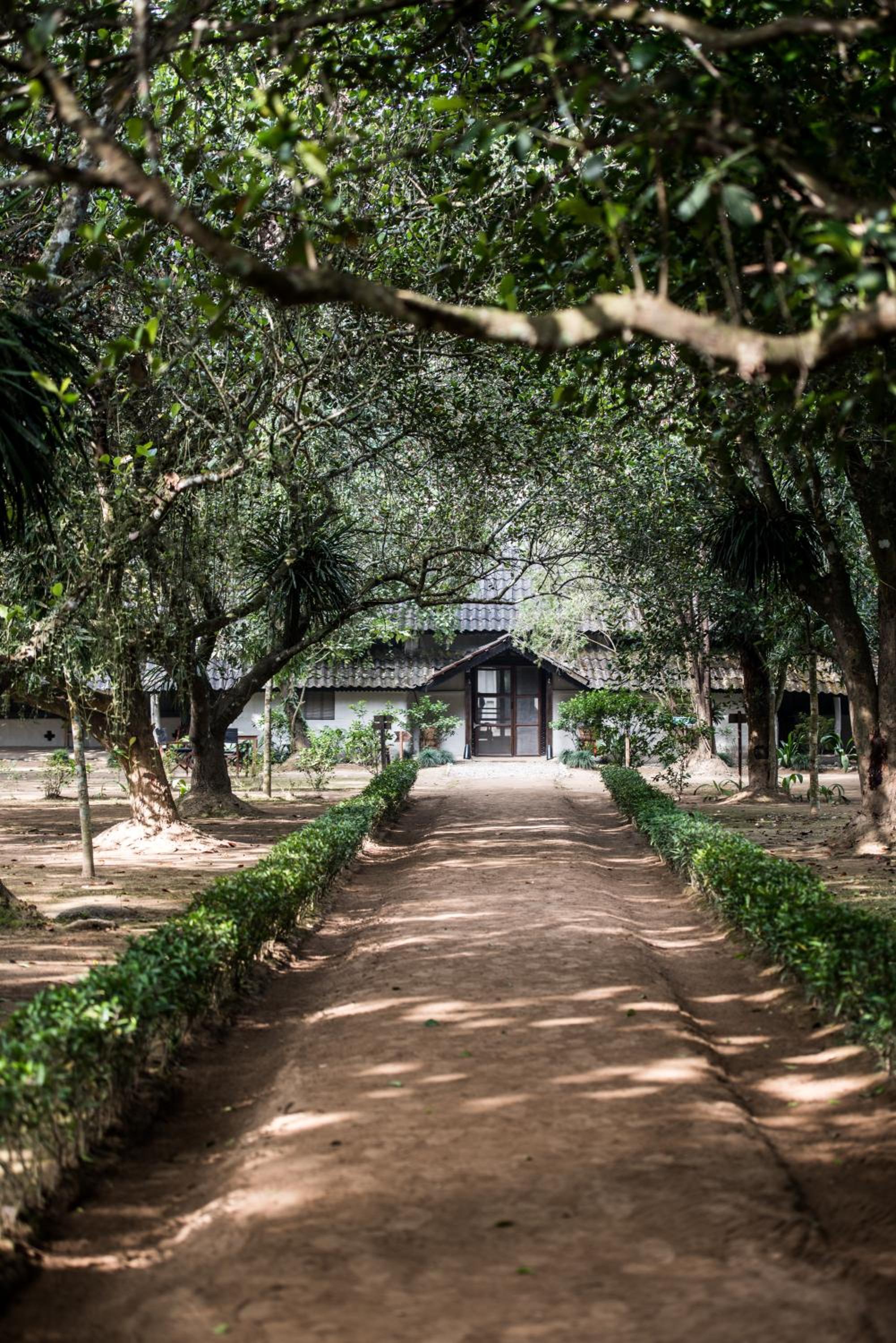 Tiger Tops Tharu Lodge