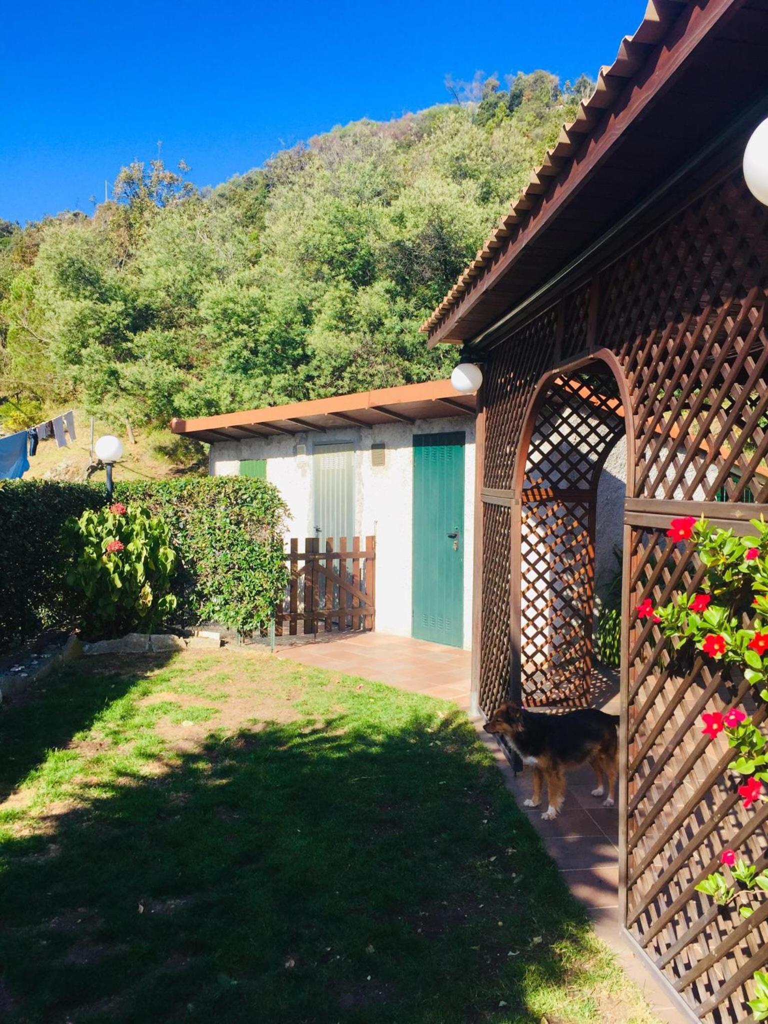 Green House view 4