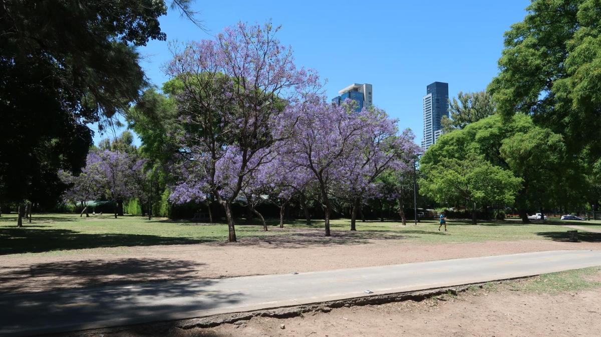 Departamento en Palermo a 100 metros de Avenida Libertador y 500 metros de Plaza Italia