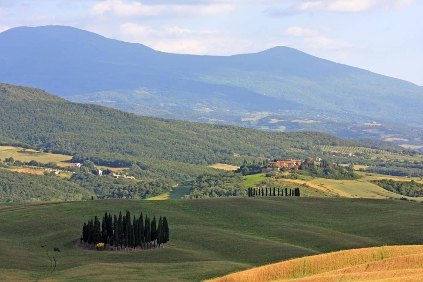 Cordella in Montalcino Wine Resort view 5