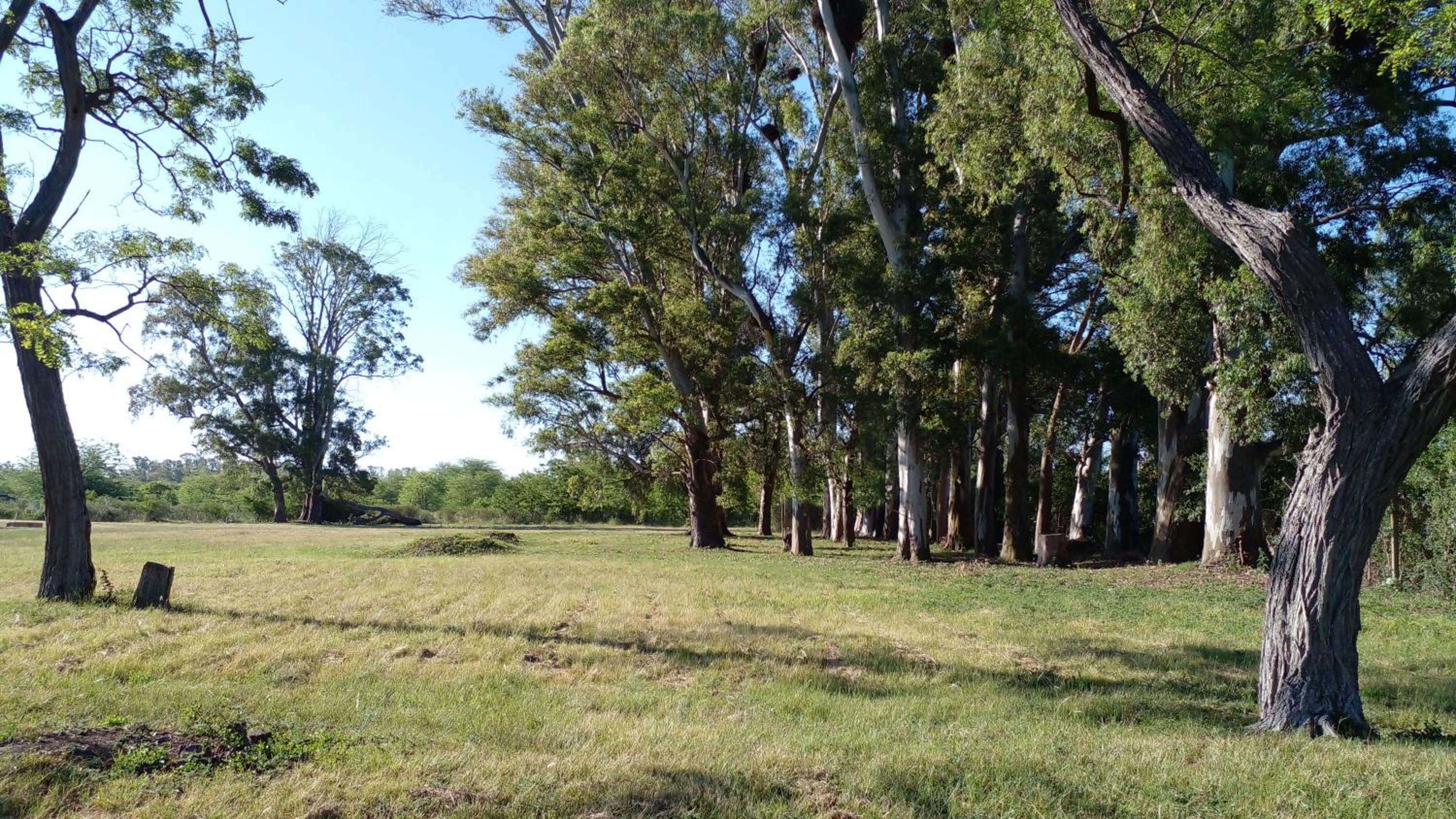 Los Arboles, casa completa a 5 minutos del Aeropuerto Ezeiza