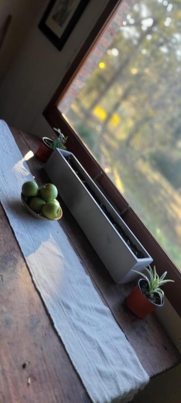 Casa Vieja Estancia