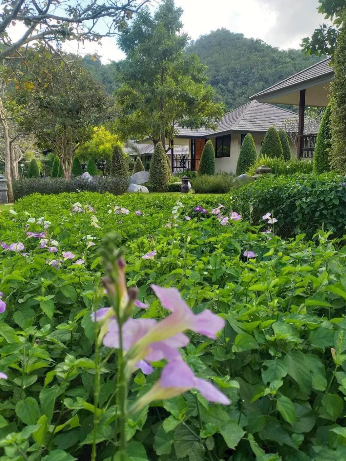 Khaokhab Lodge