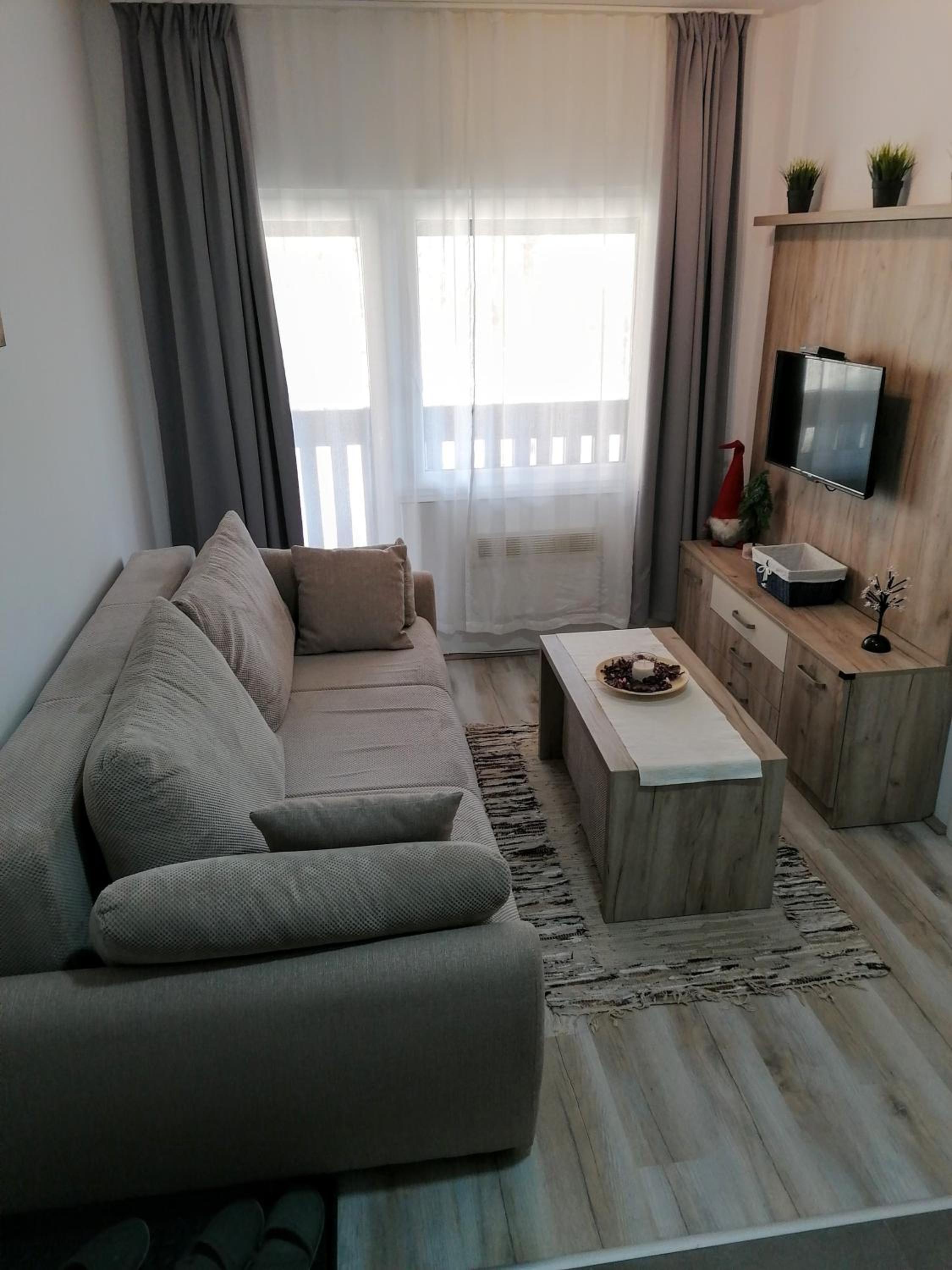 Apartman Div Kopaonik view 2