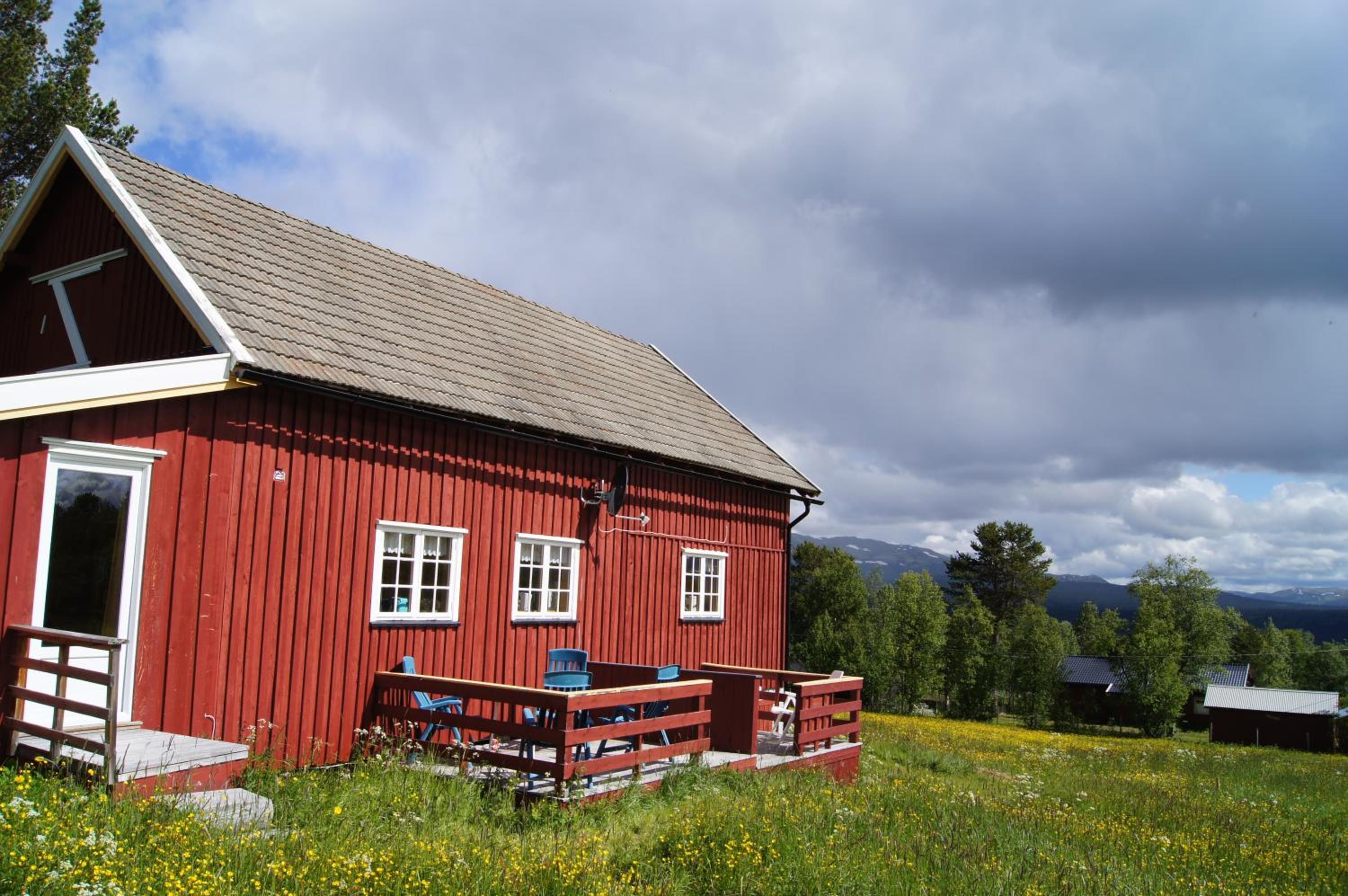 Photo 44
