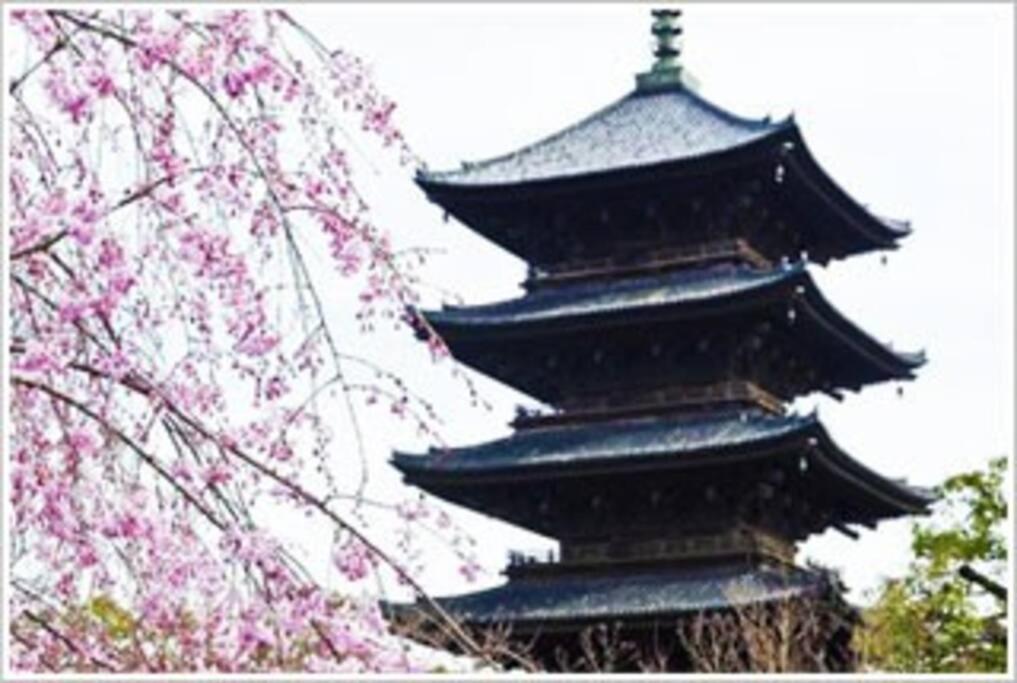 Ya -MIYABI
