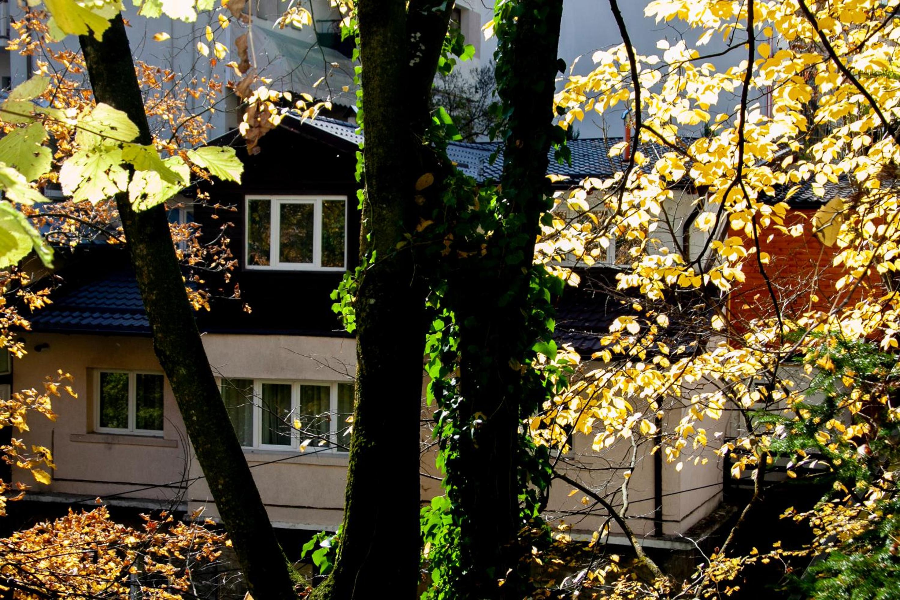Casa Flandria view 2