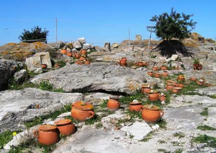 Agriturismo Agrifoglio