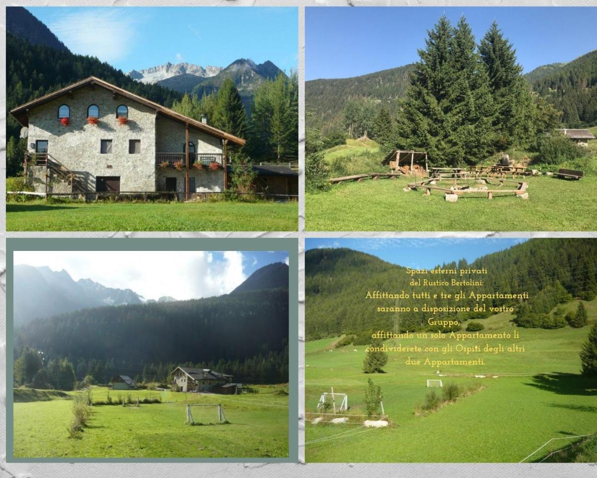 Rustico Bertolini photo 2